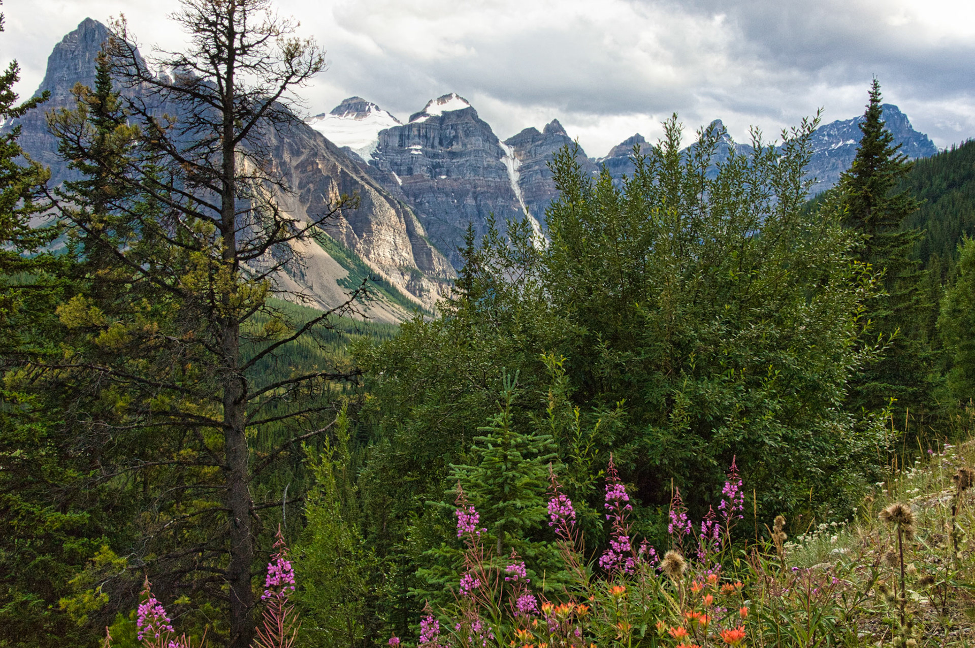 Canada Alberta 00110