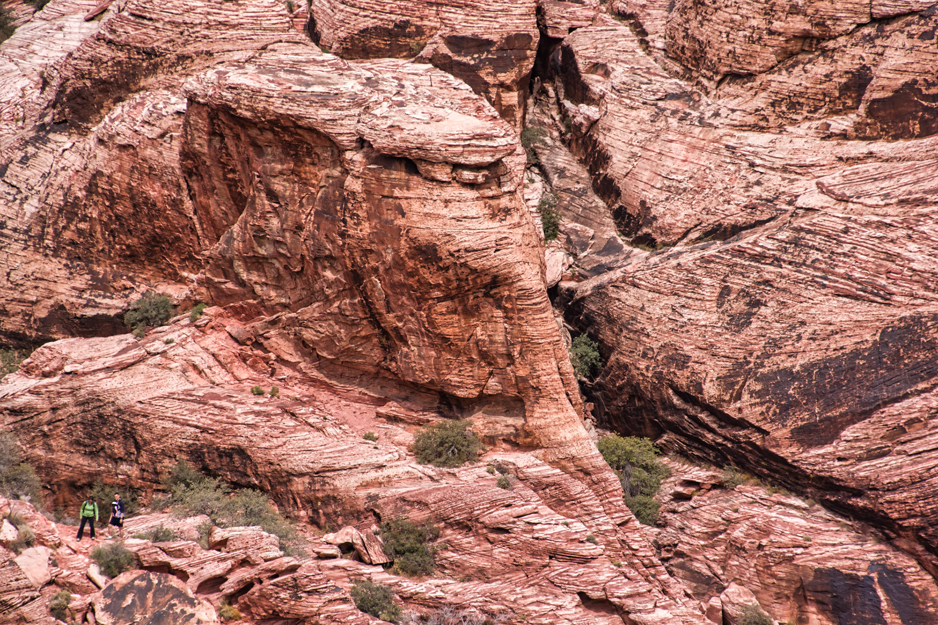 NV Desert 00191