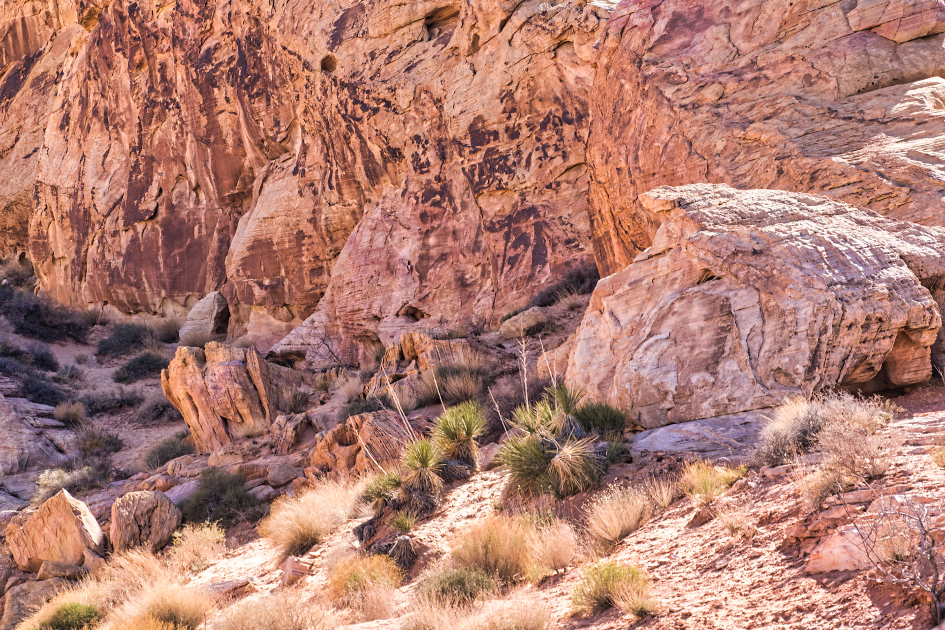 NV Desert 00116