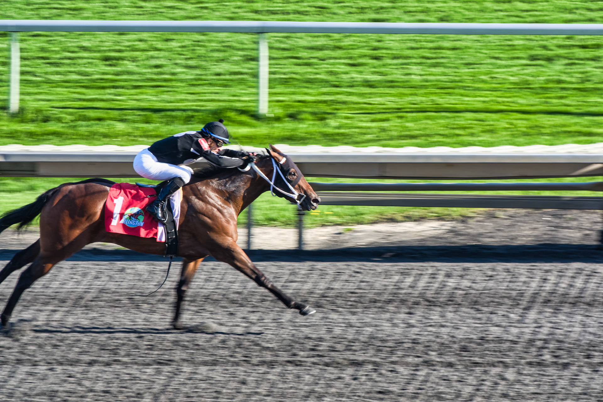 IL Arlington Park 00064