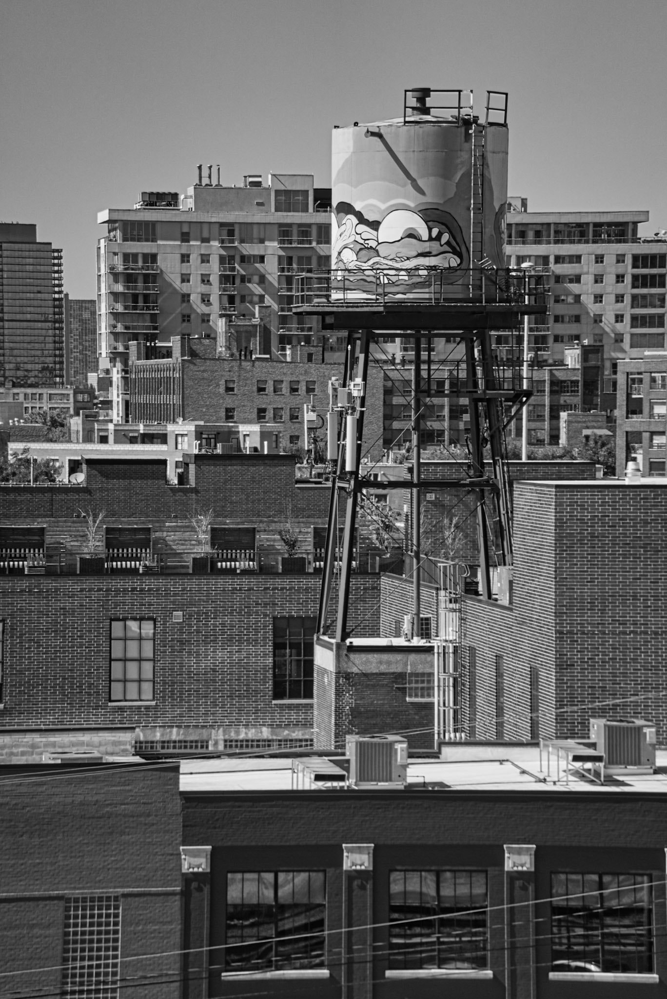 Black & White 00270