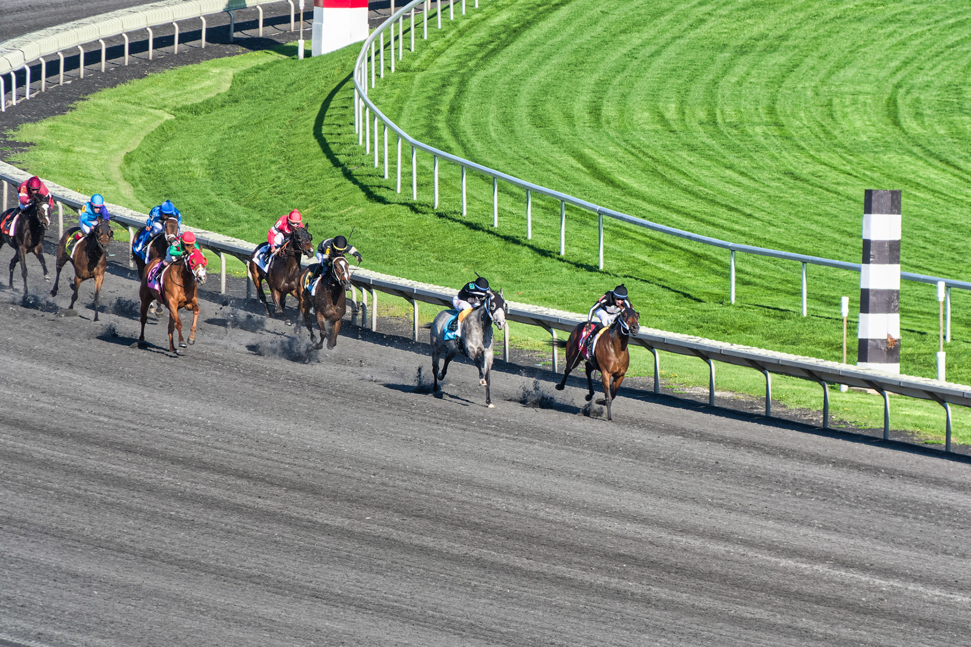 IL Arlington Park 00060