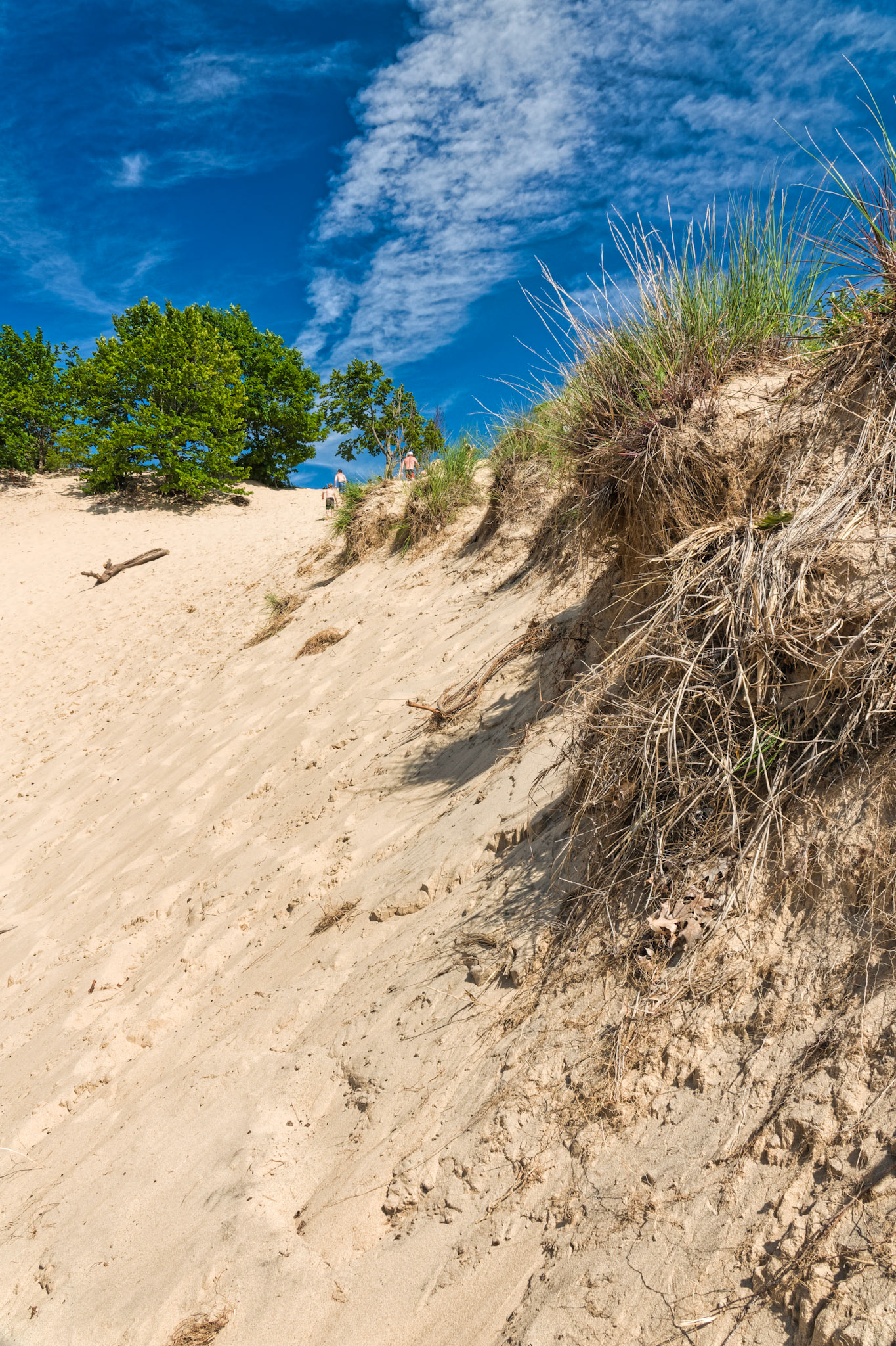 MI Dunes 00089