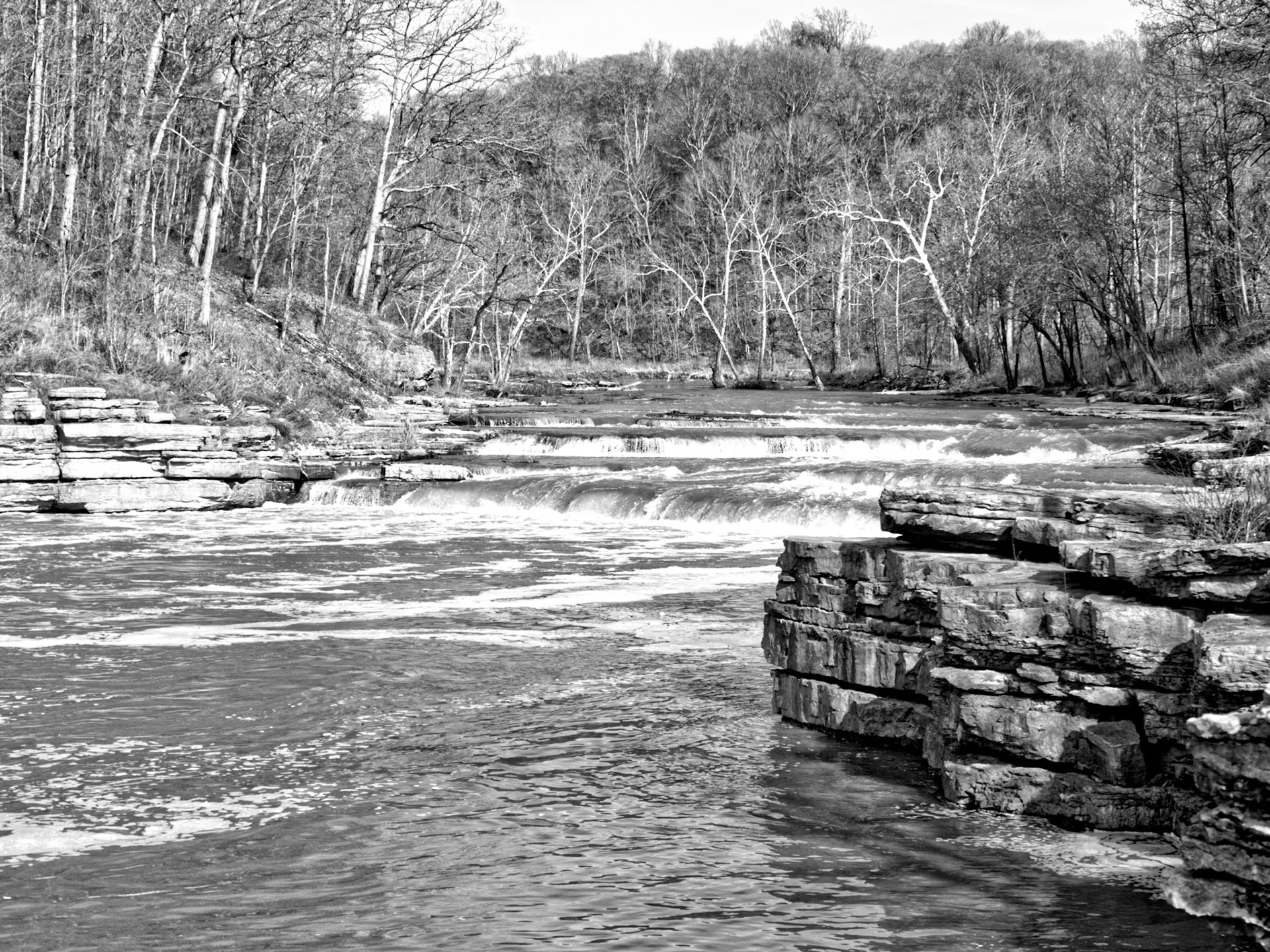 Black & White 00015