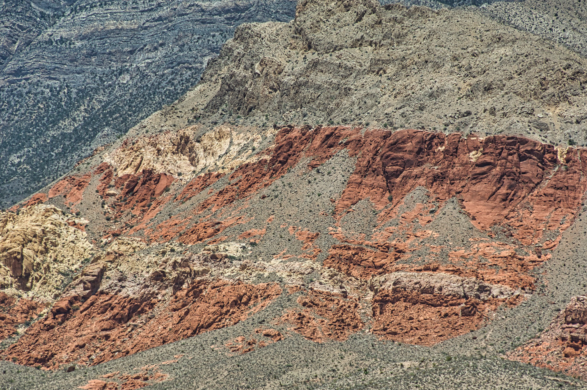 Desert Southwest