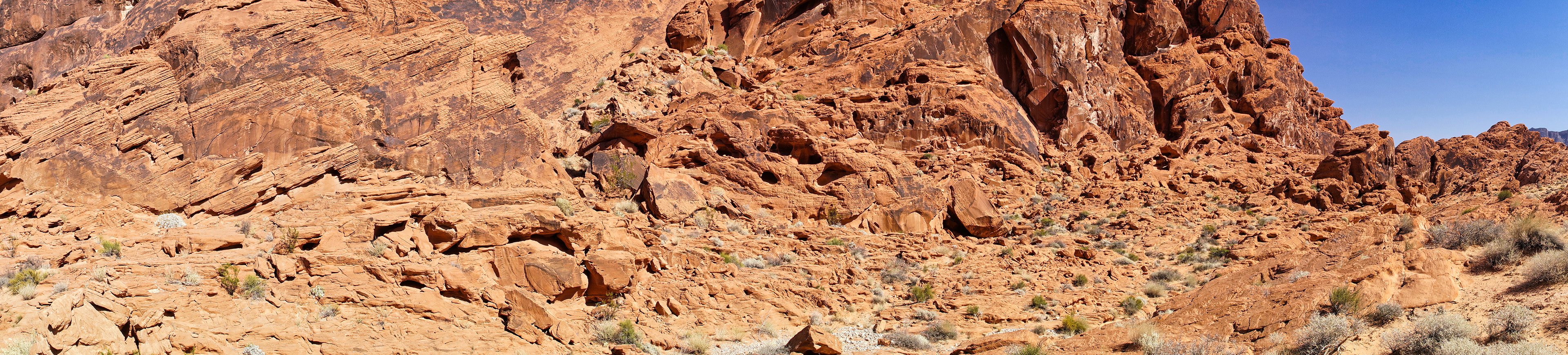 NV Desert 00147