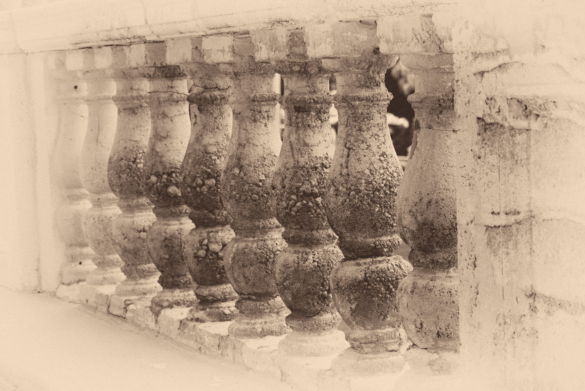 Black & White 00146