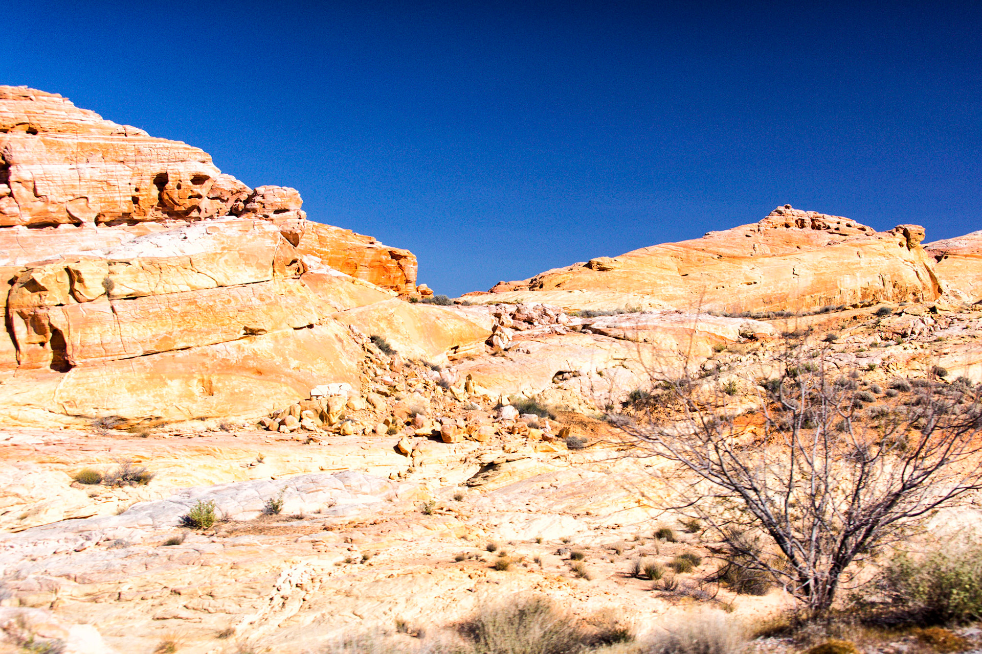 NV Desert 00205