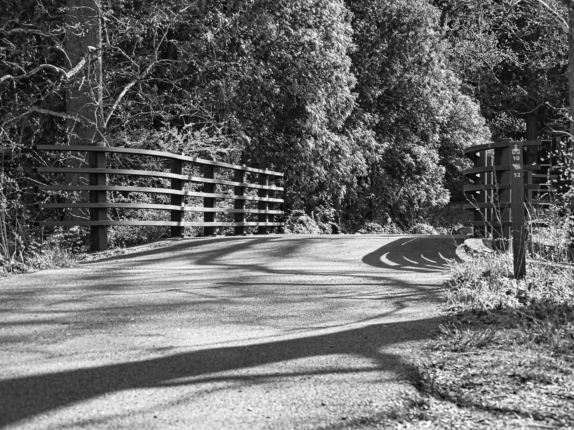 Black & White 00264