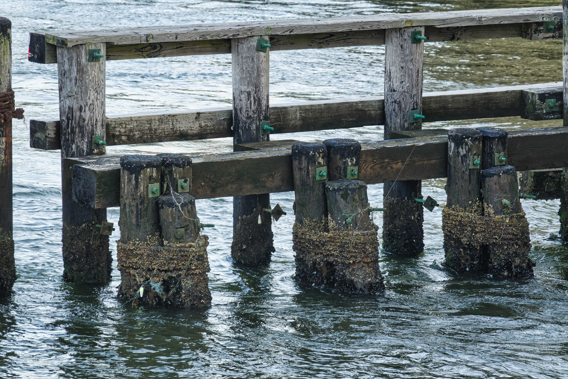 NJ Shore 00031