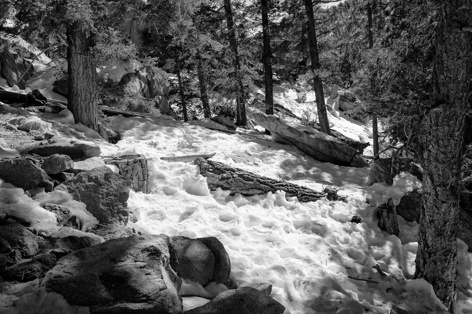 Black & White 00092