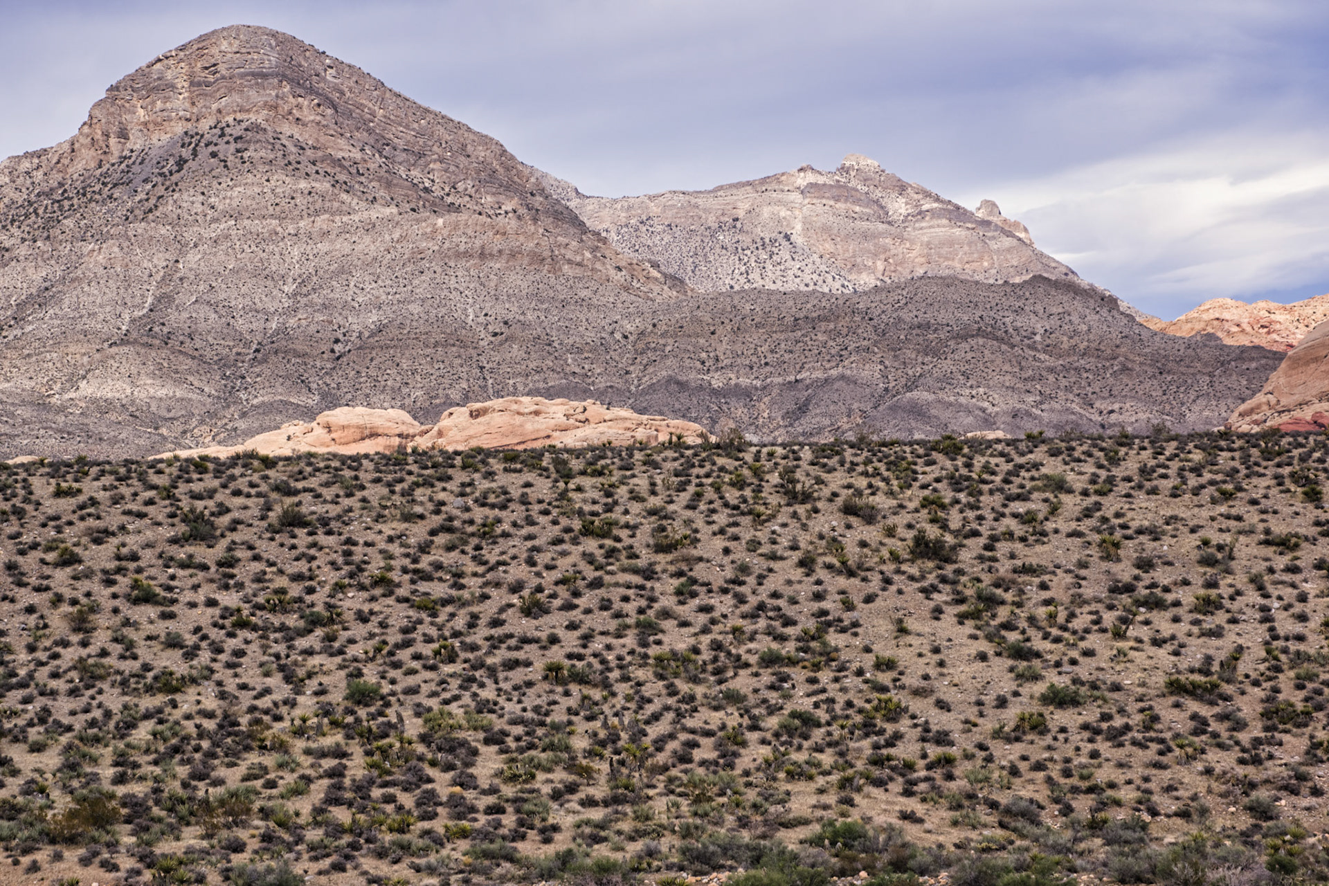 NV Desert 00168