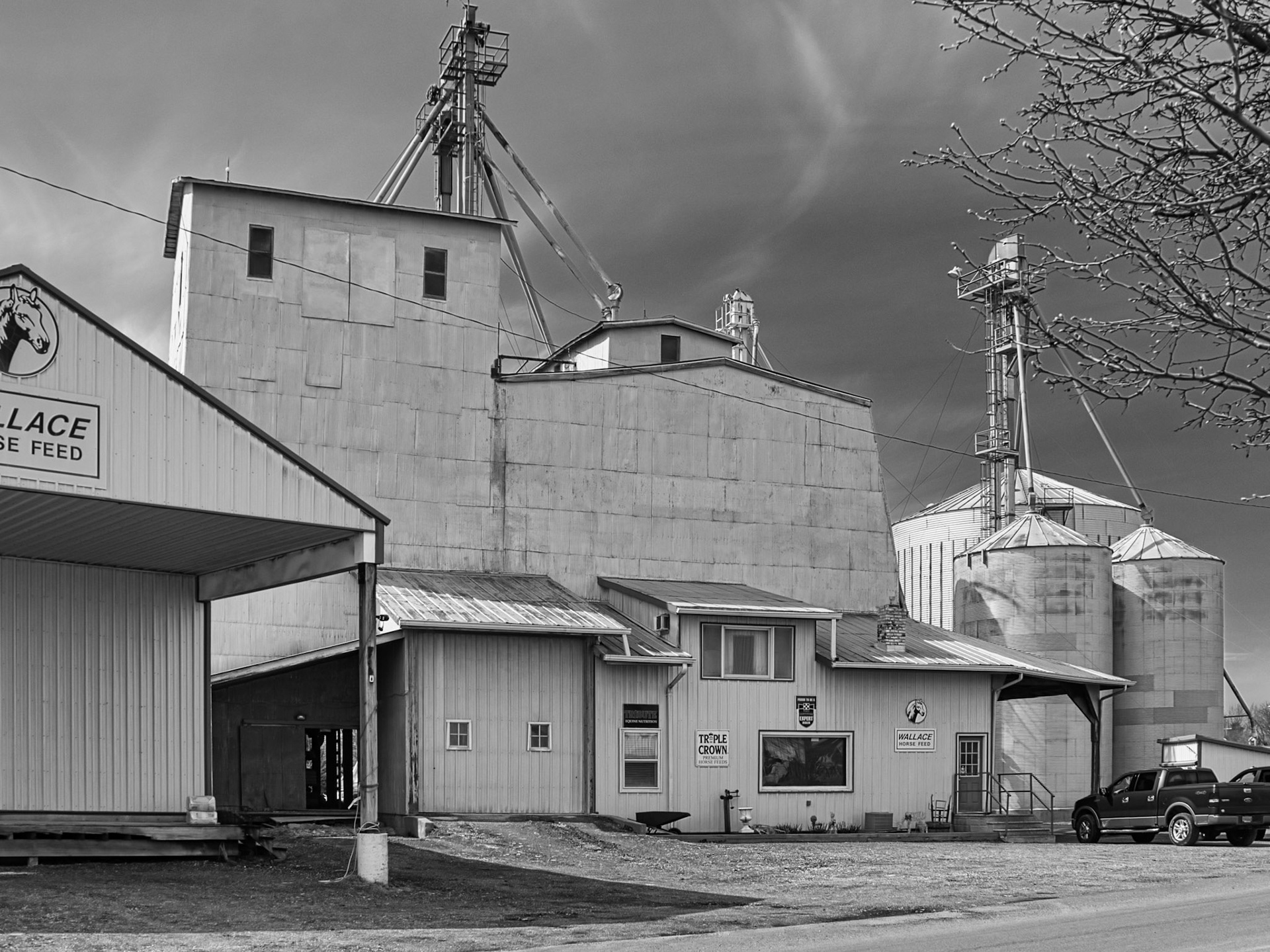 Black & White 00249