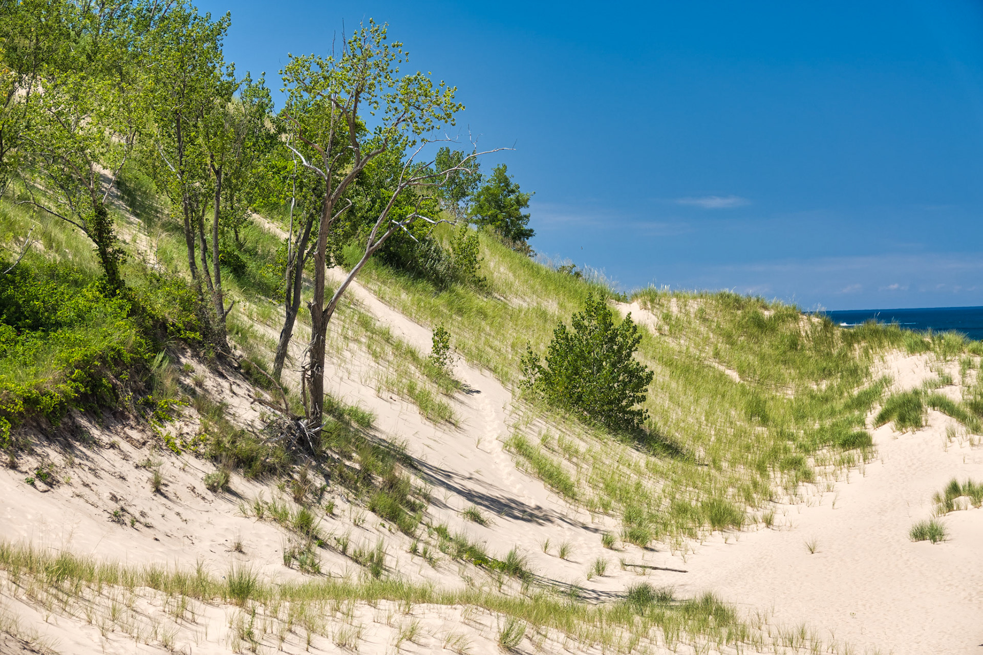 MI Dunes 00047