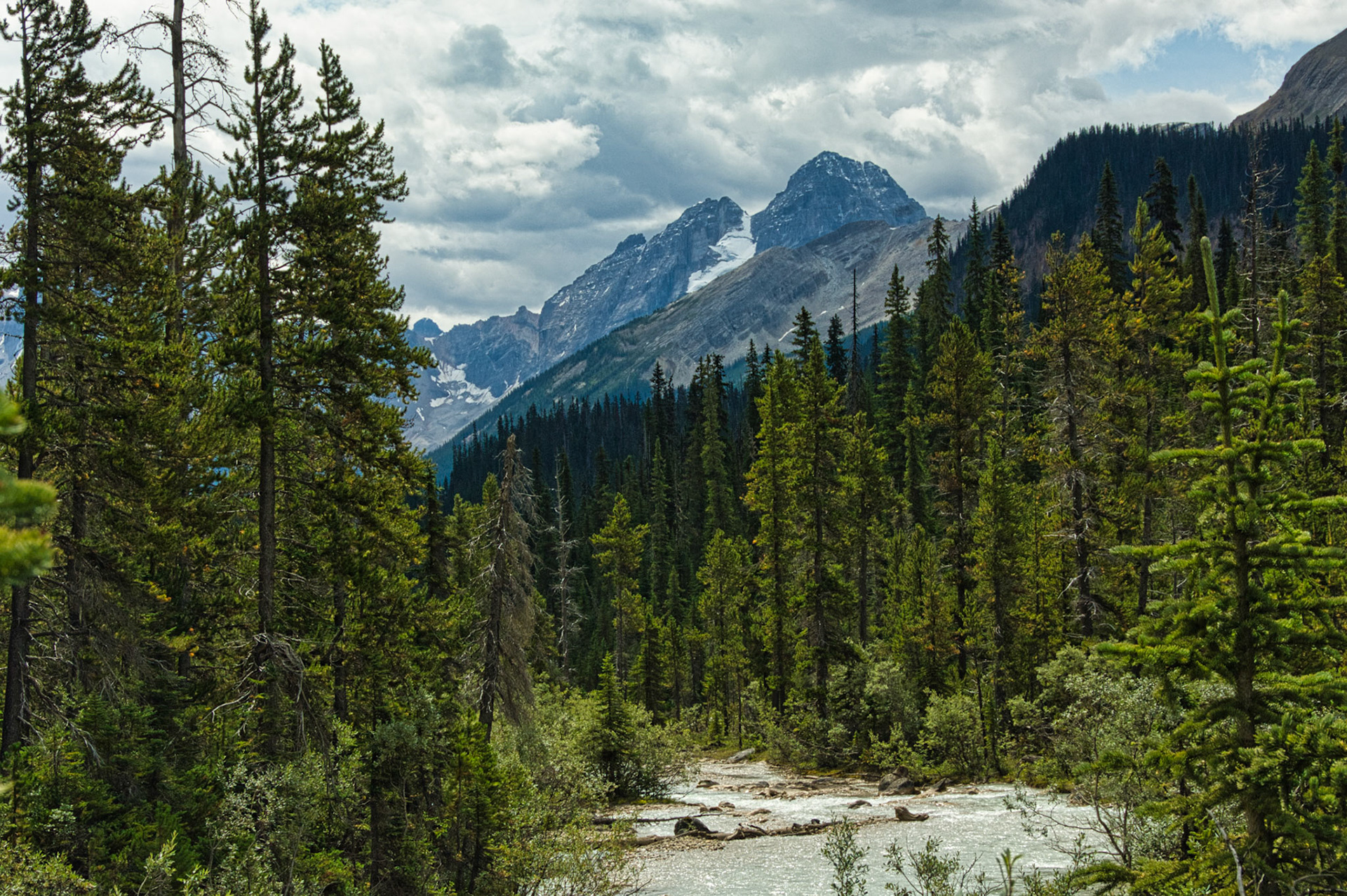 Canada Alberta 00011