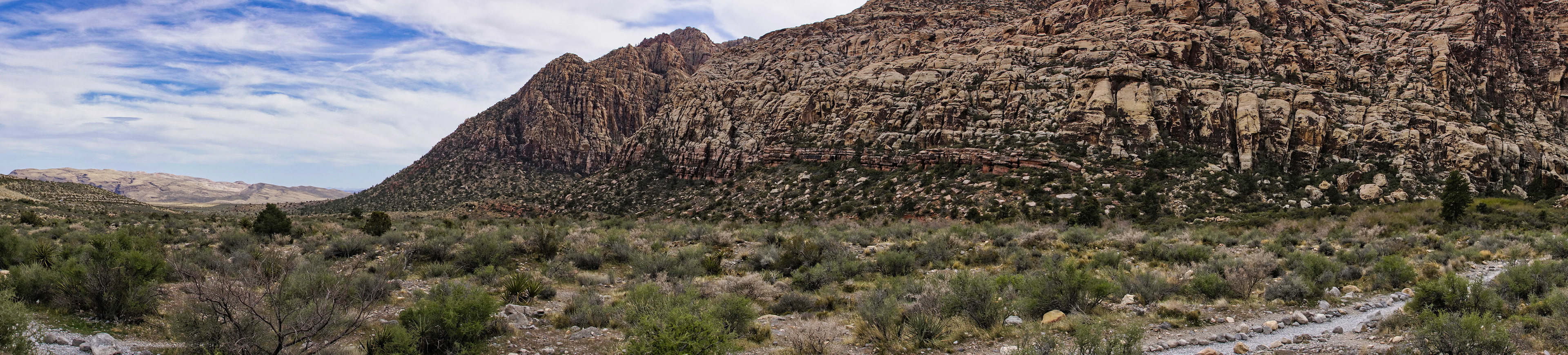 NV Desert 00175