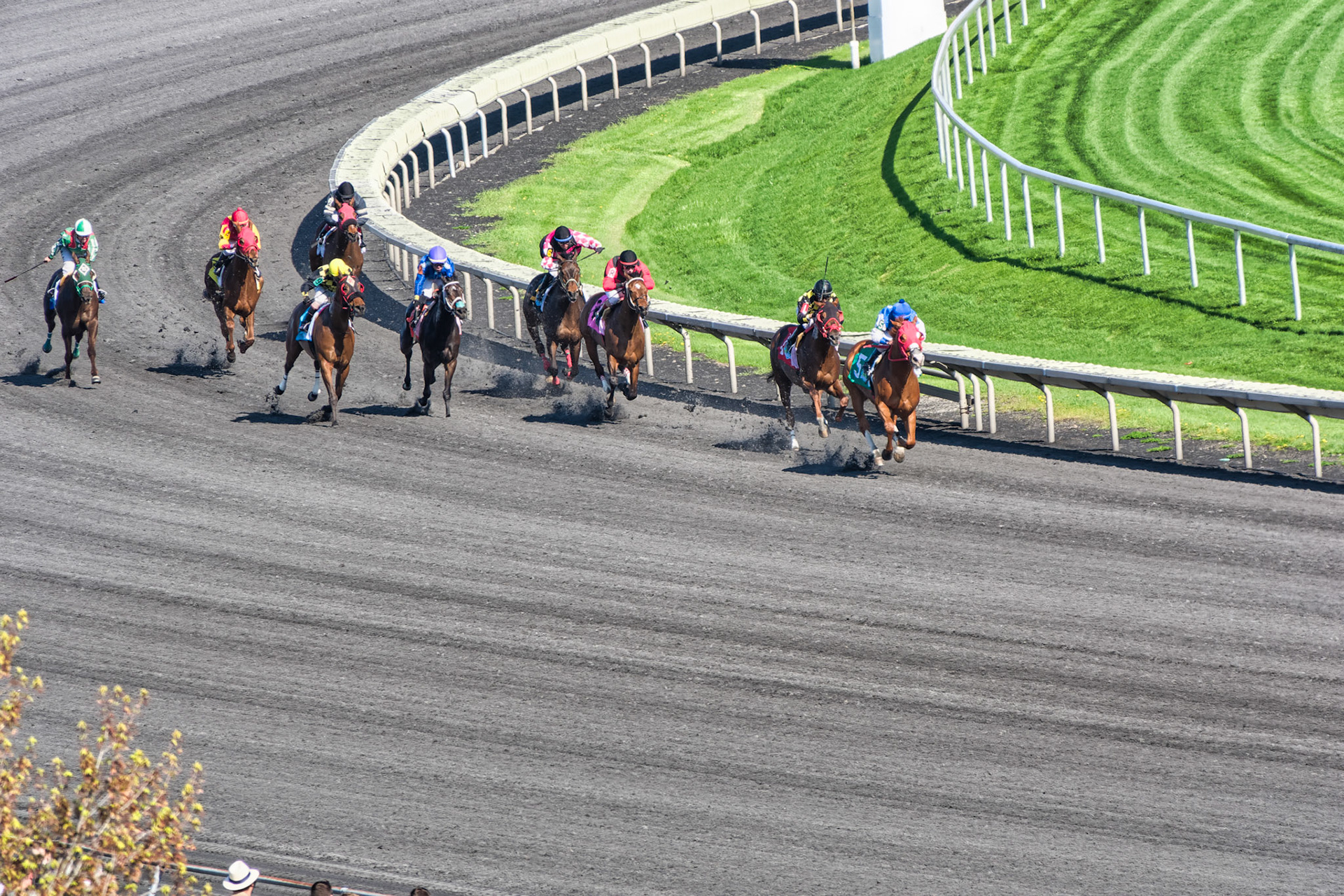IL Arlington Park 00040