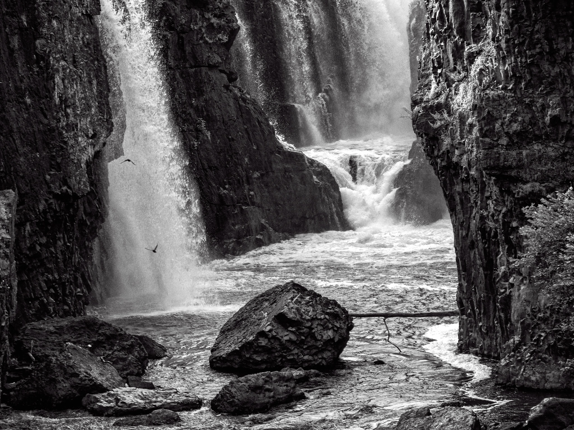 Black & White 00151