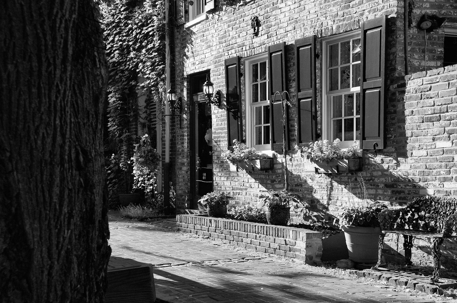Black & White 00081