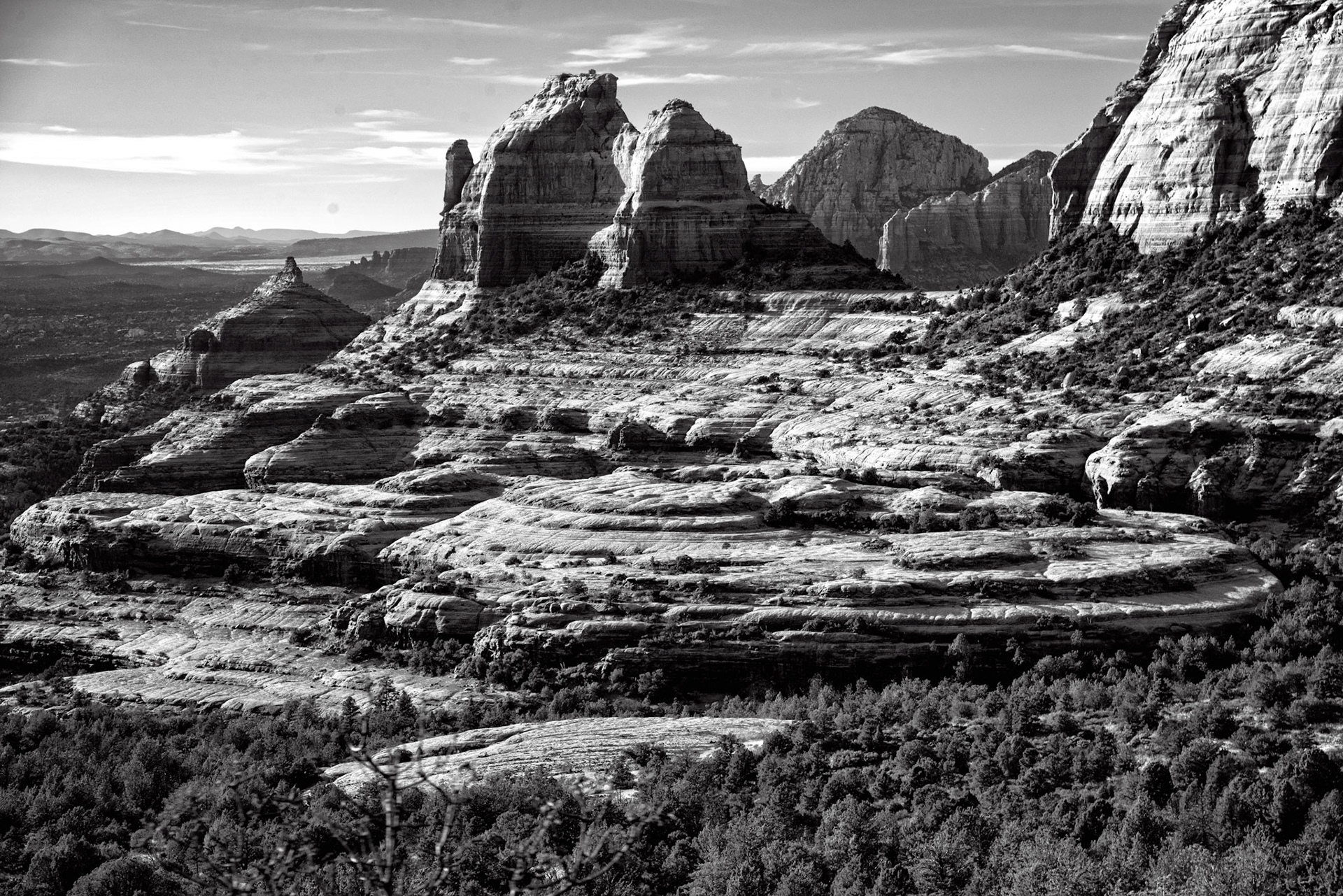 Black & White 00178