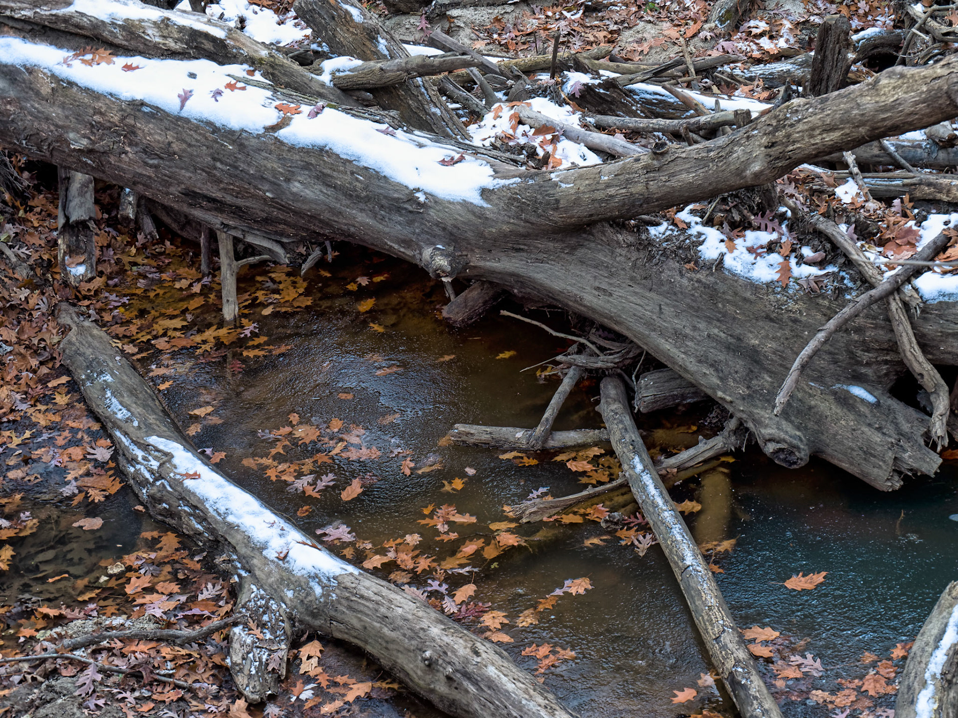 IL Starved Rock 00066