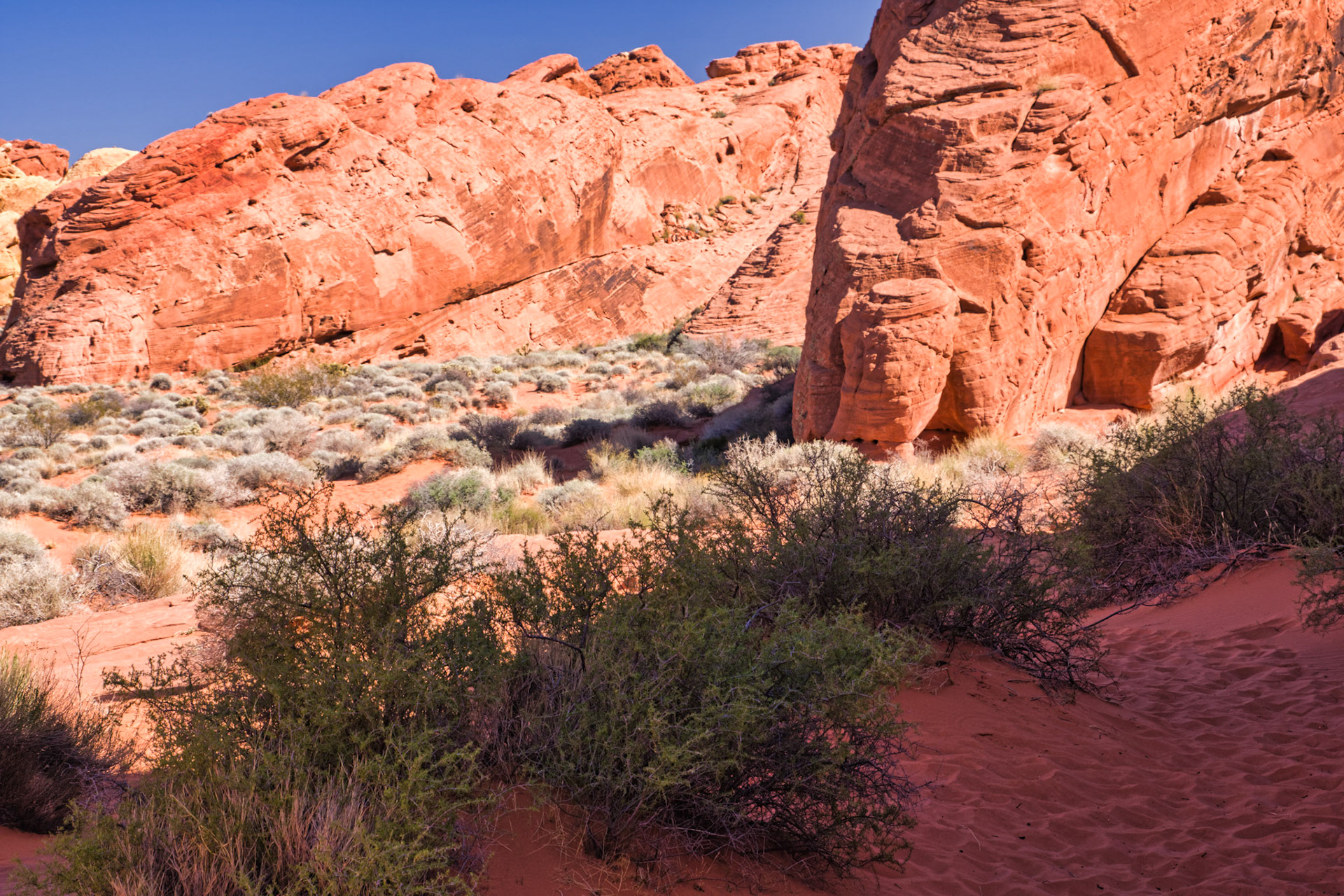 NV Desert 00135