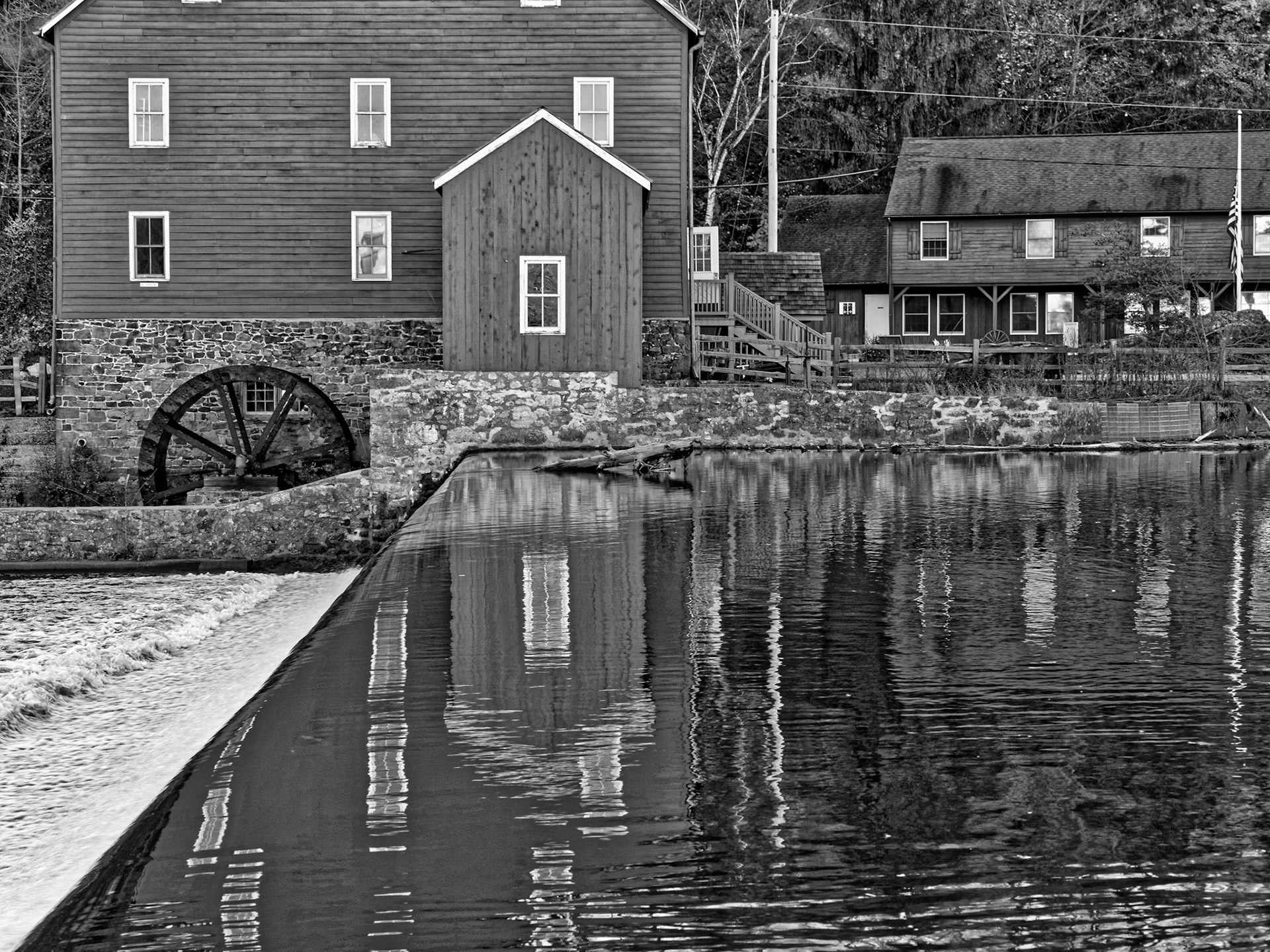 Black & White 00026