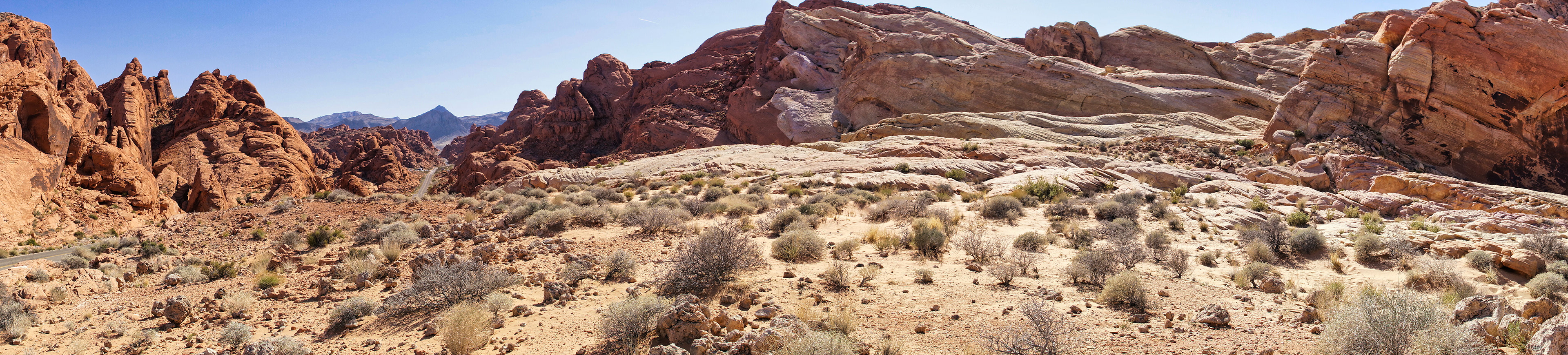NV Desert 00126