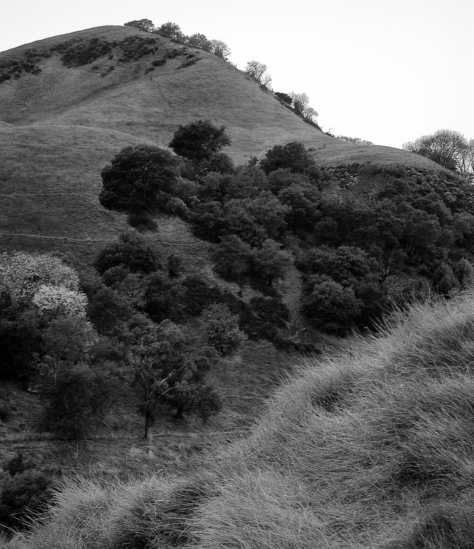 Black & White 00035