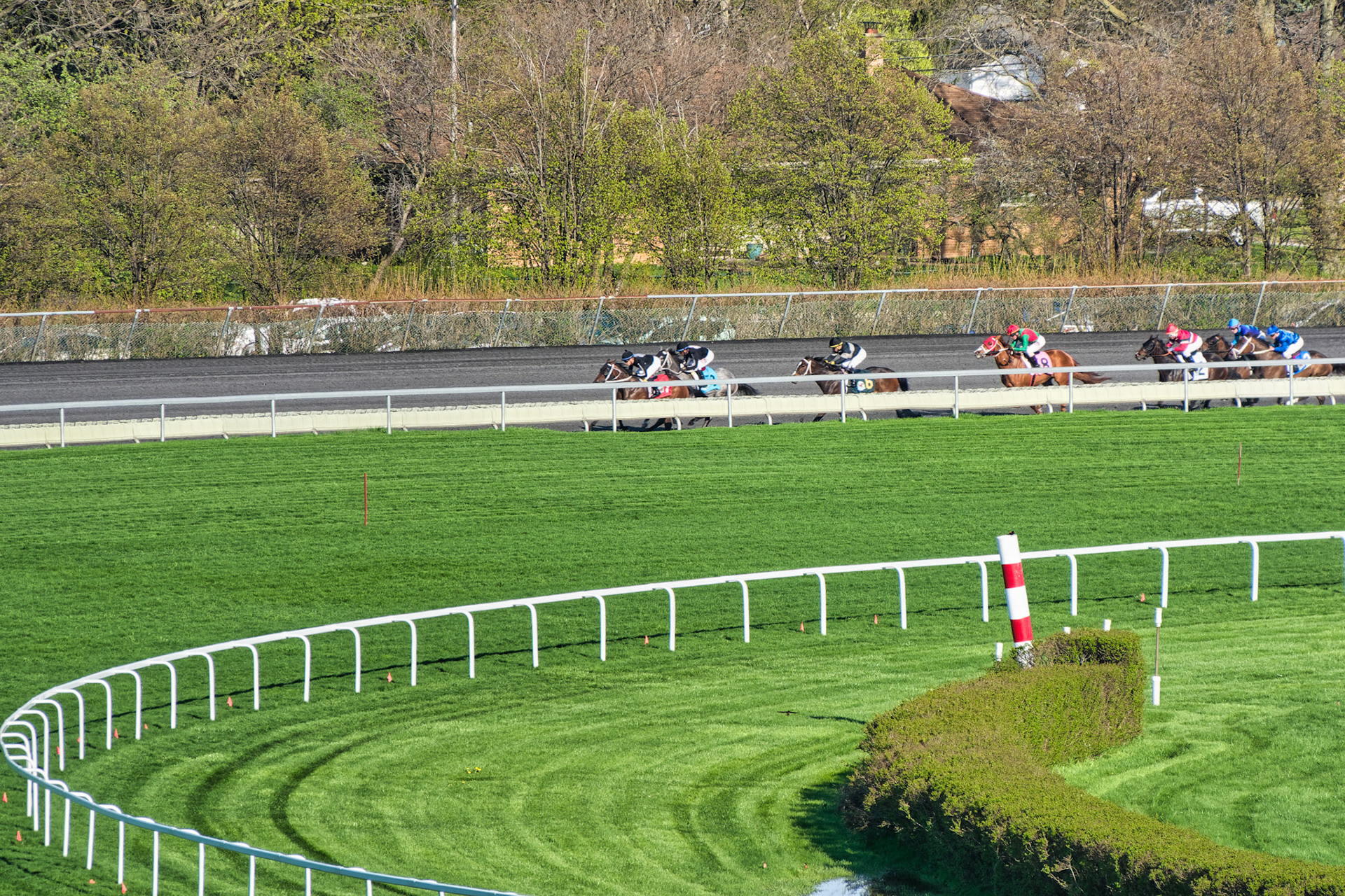 IL Arlington Park 00056