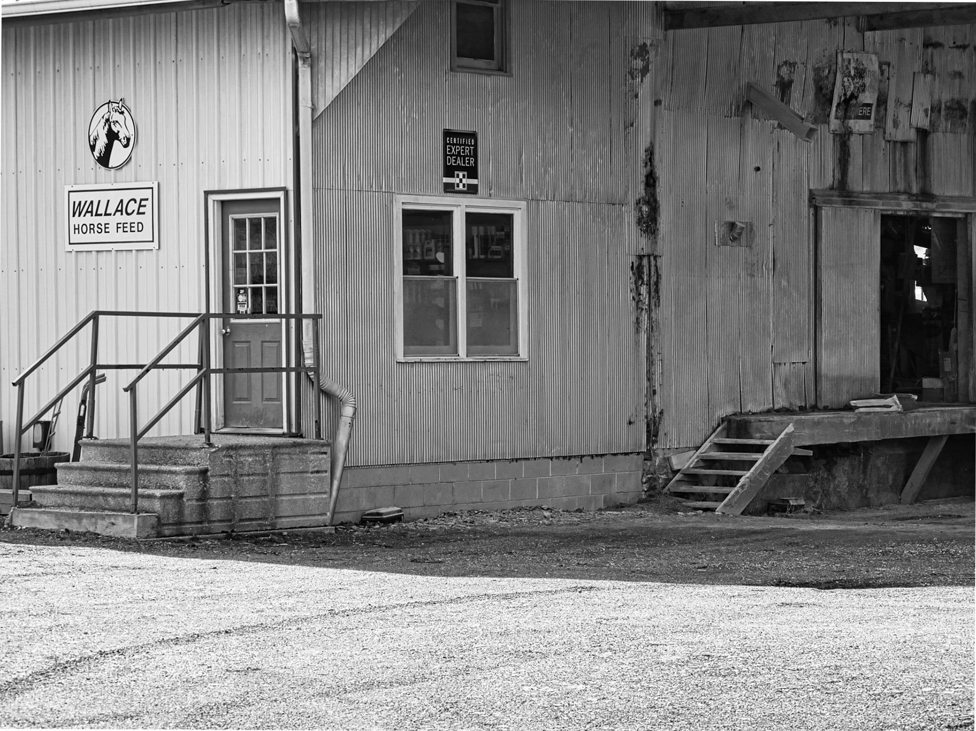 Black & White 00251