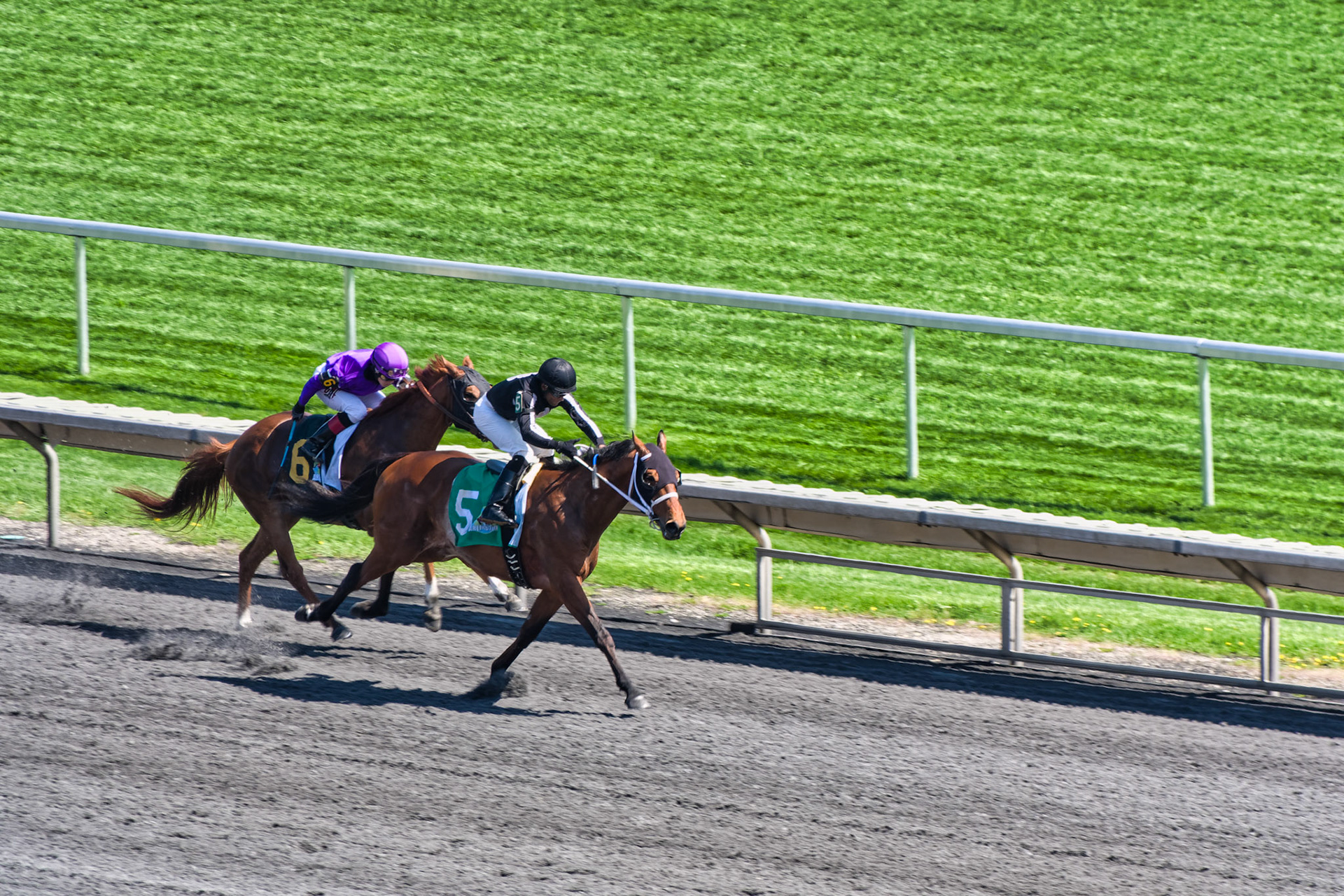 IL Arlington Park 00033