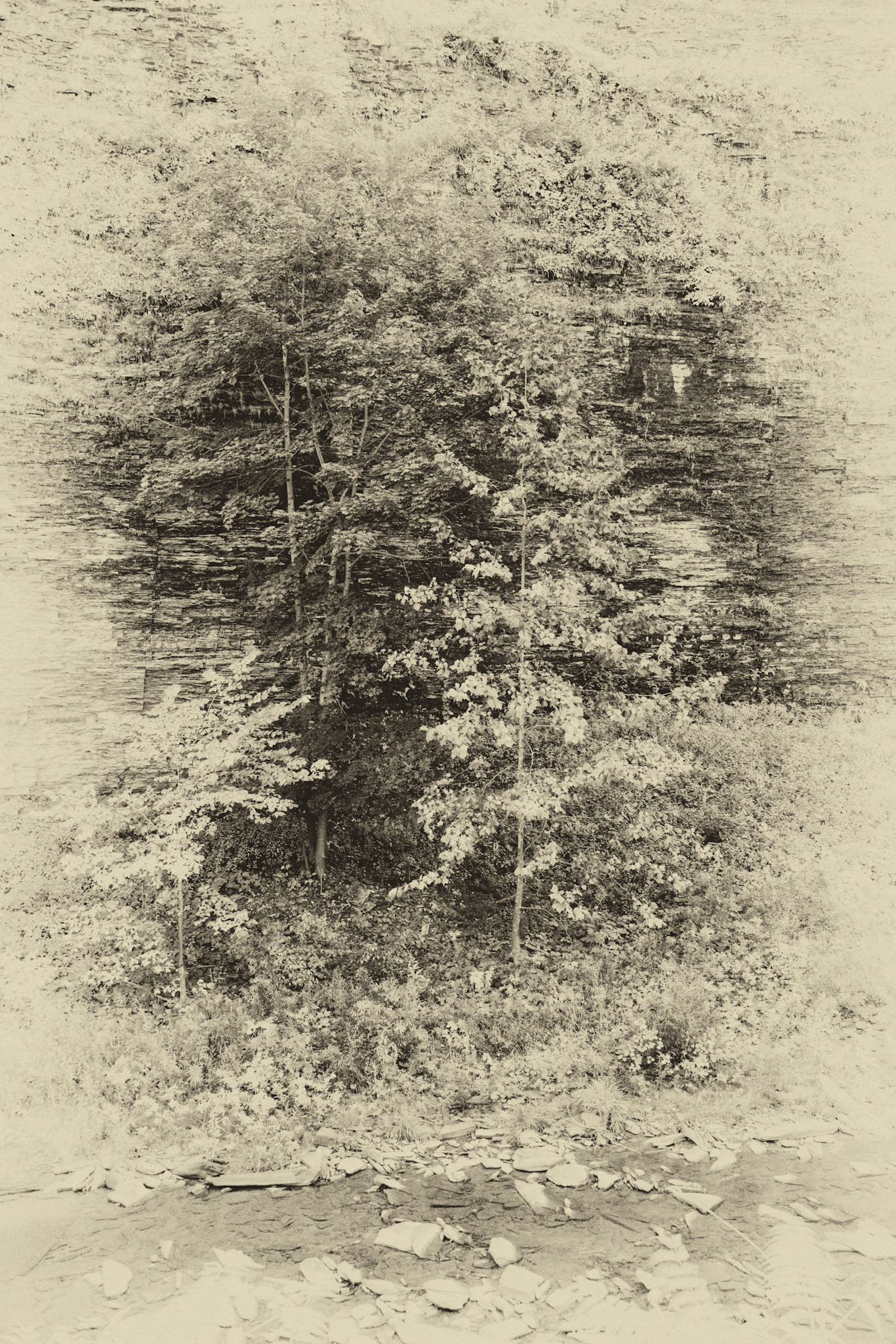 Black & White 00216
