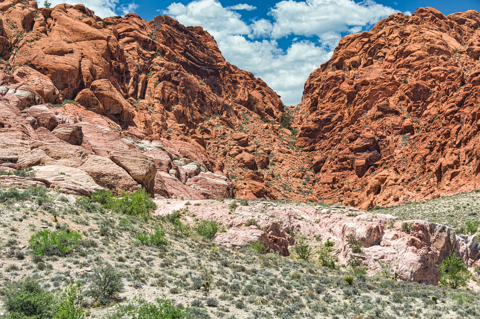 NV Desert 00012