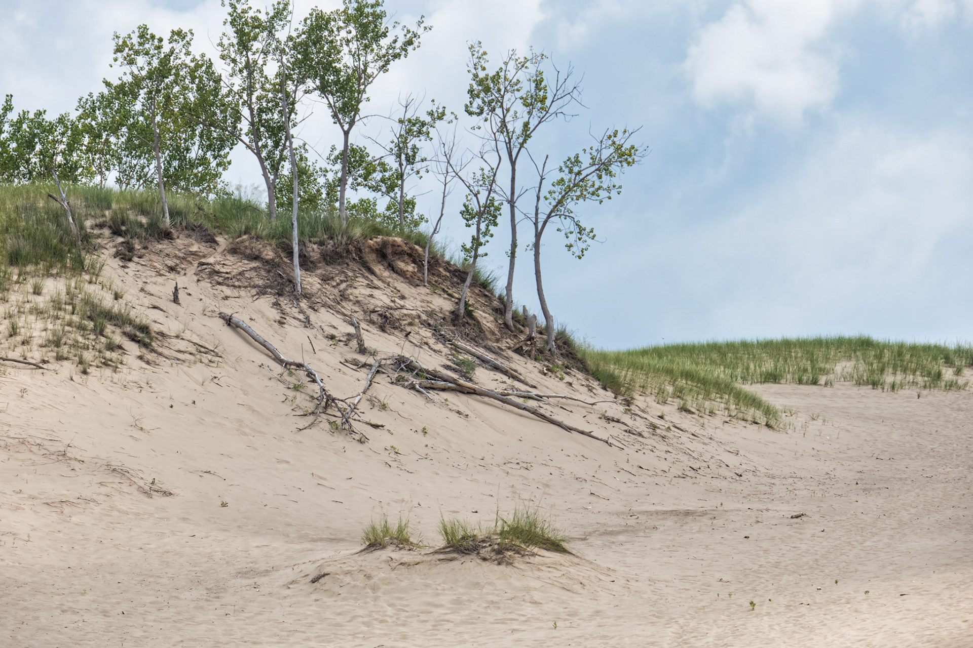 MI Dunes 00013