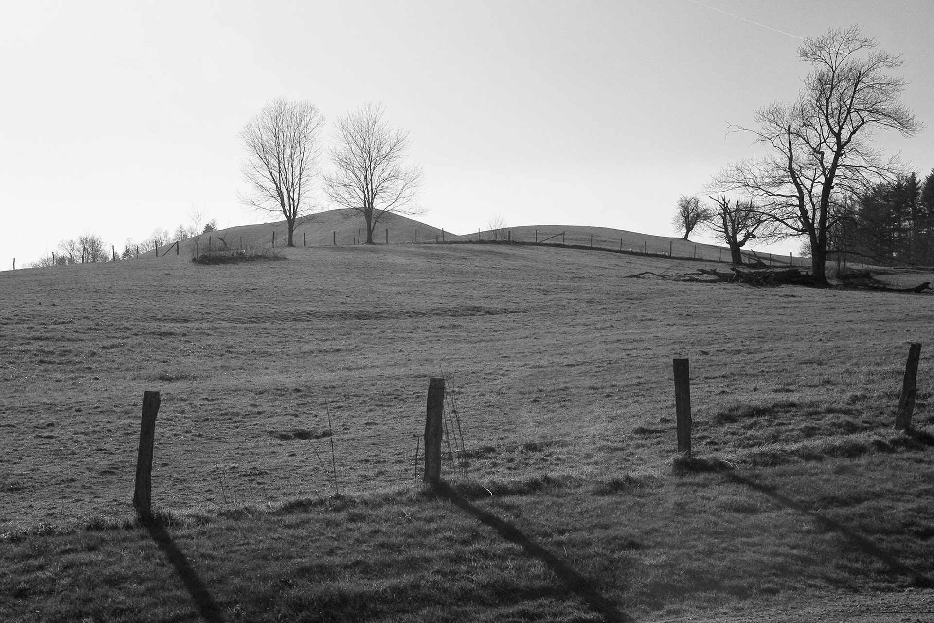 Black & White 00059