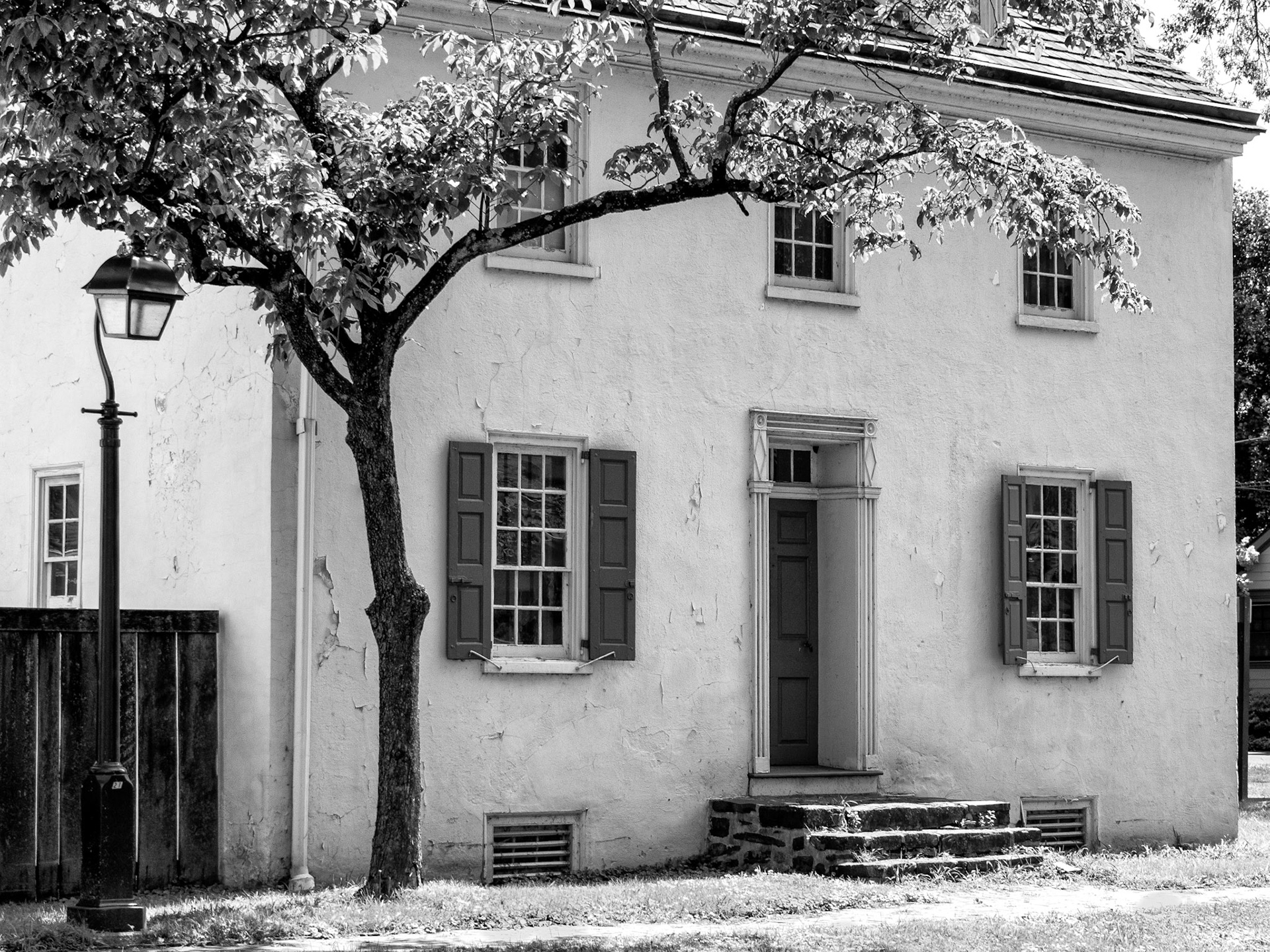 Black & White 00168