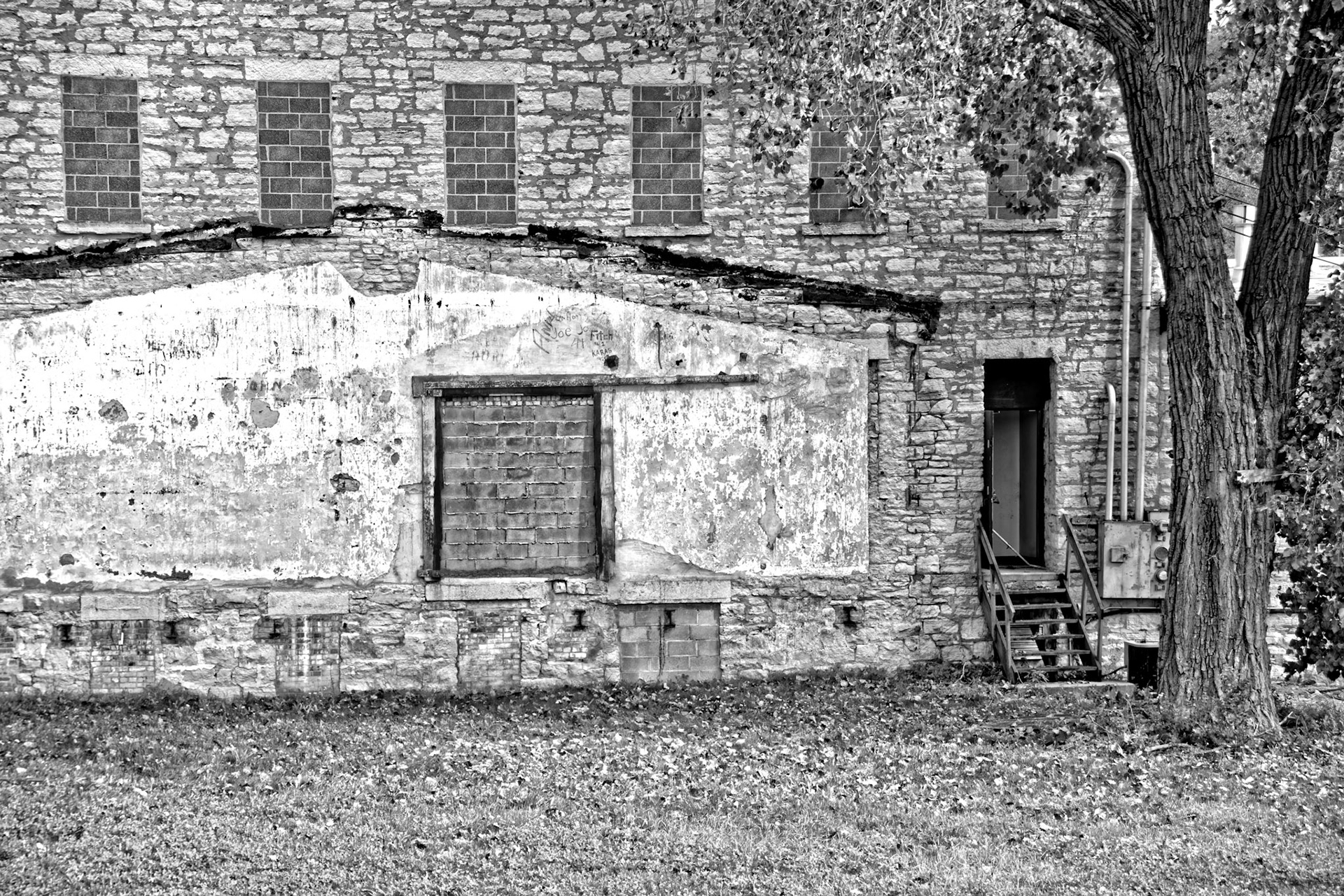 Black & White 00238