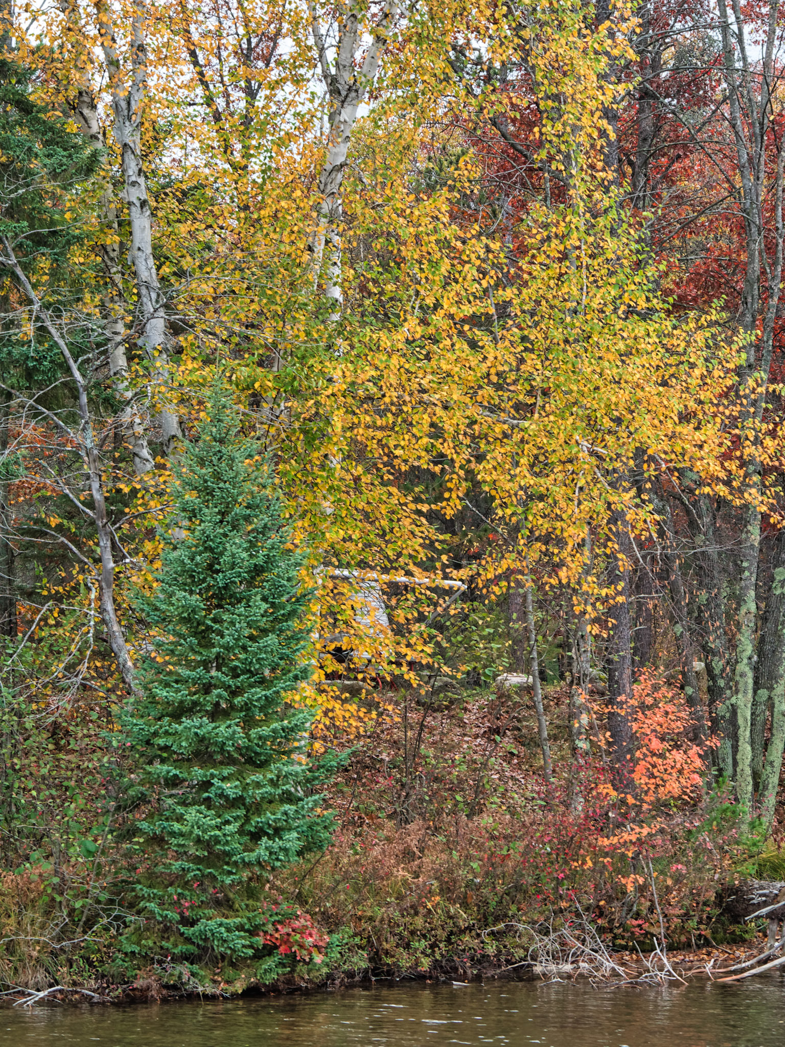 WI Fence 00138