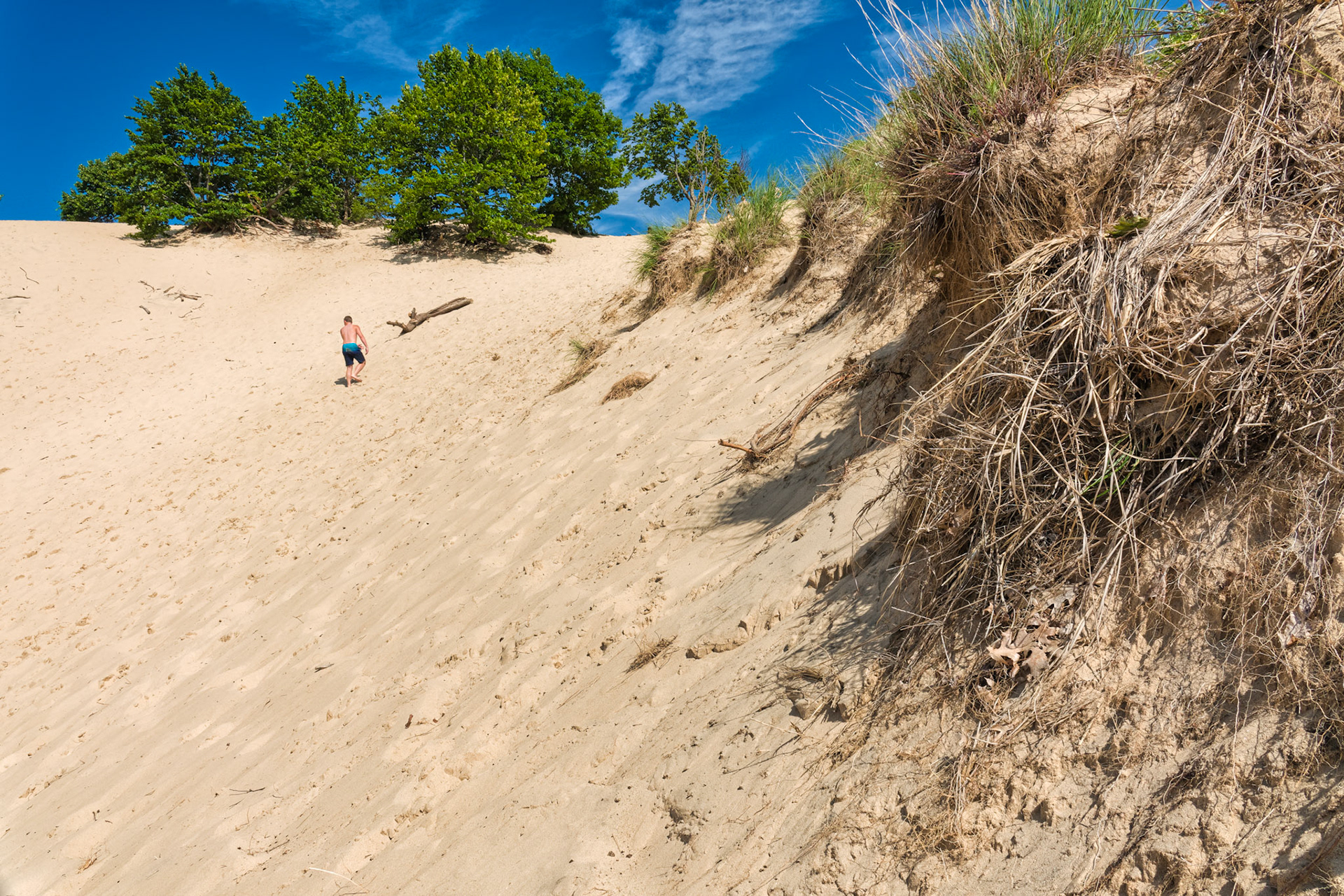 MI Dunes 00091
