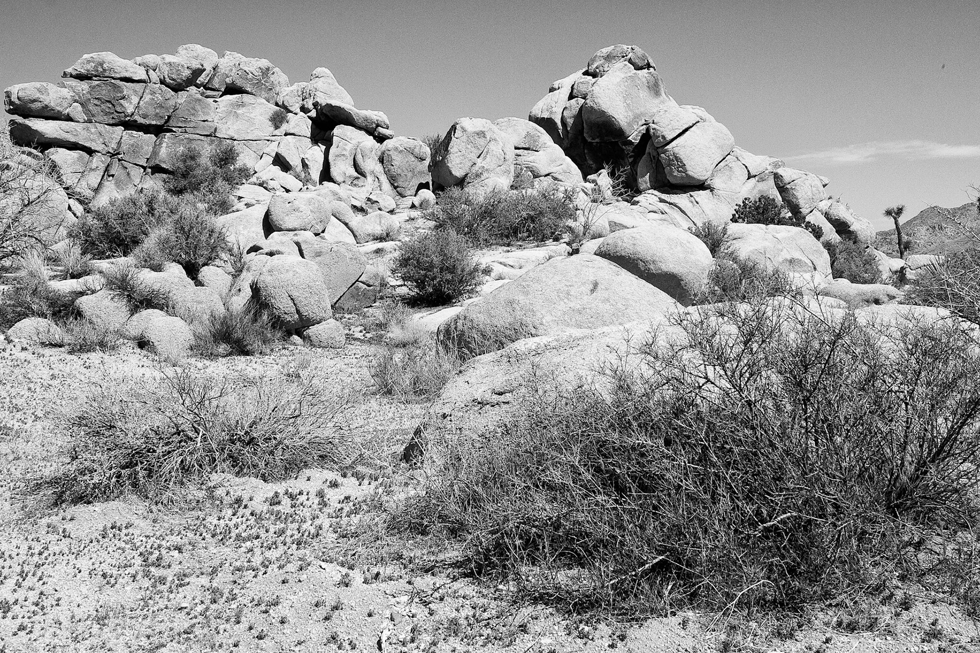 Black & White 00063