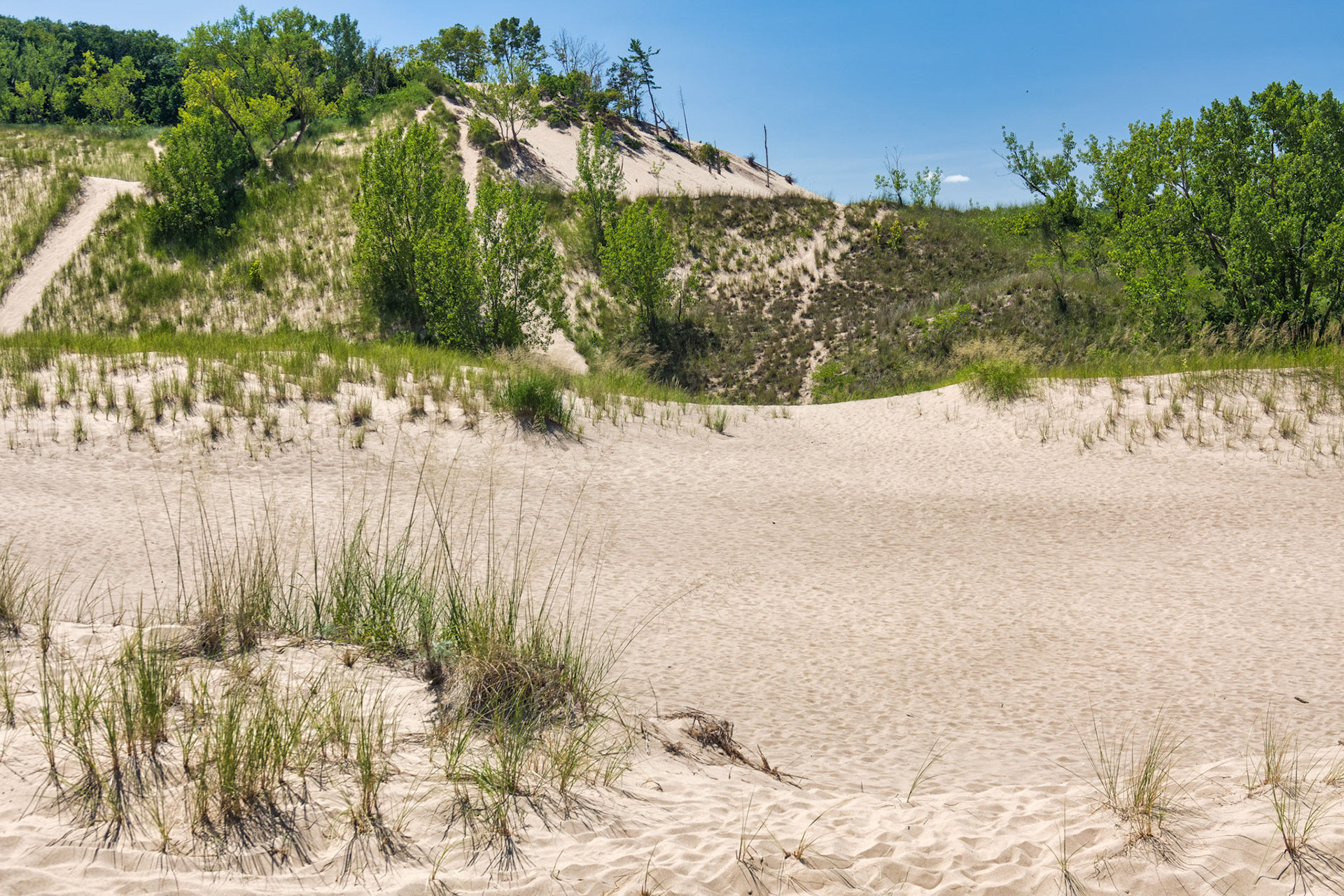 MI Dunes 00025