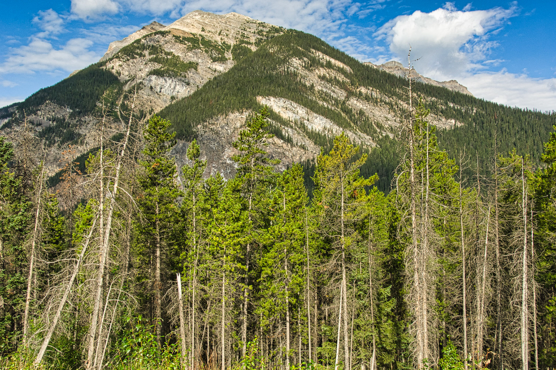 Canada Alberta 00029