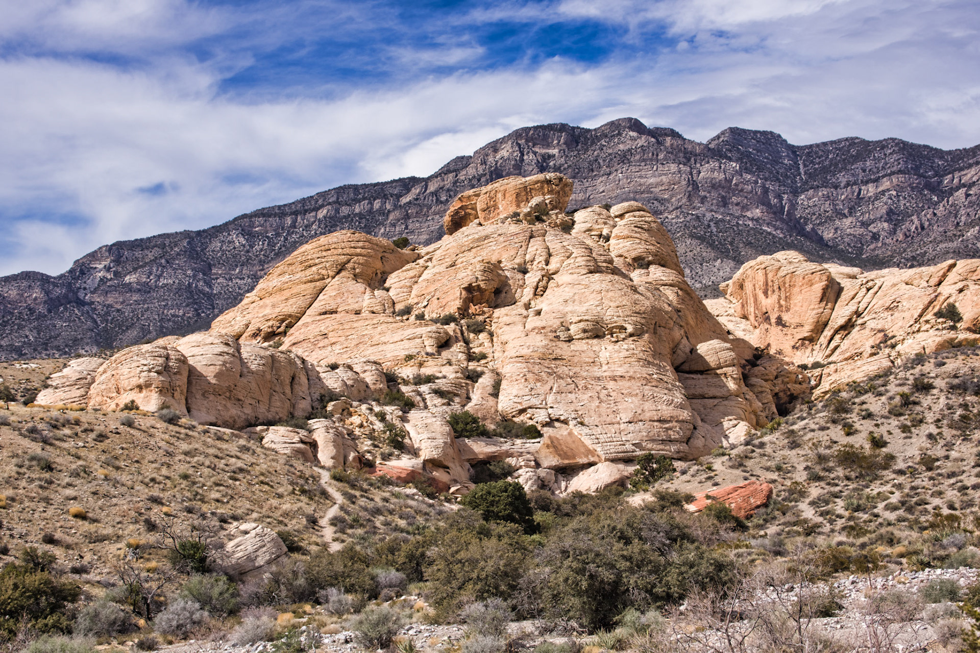 NV Desert 00181