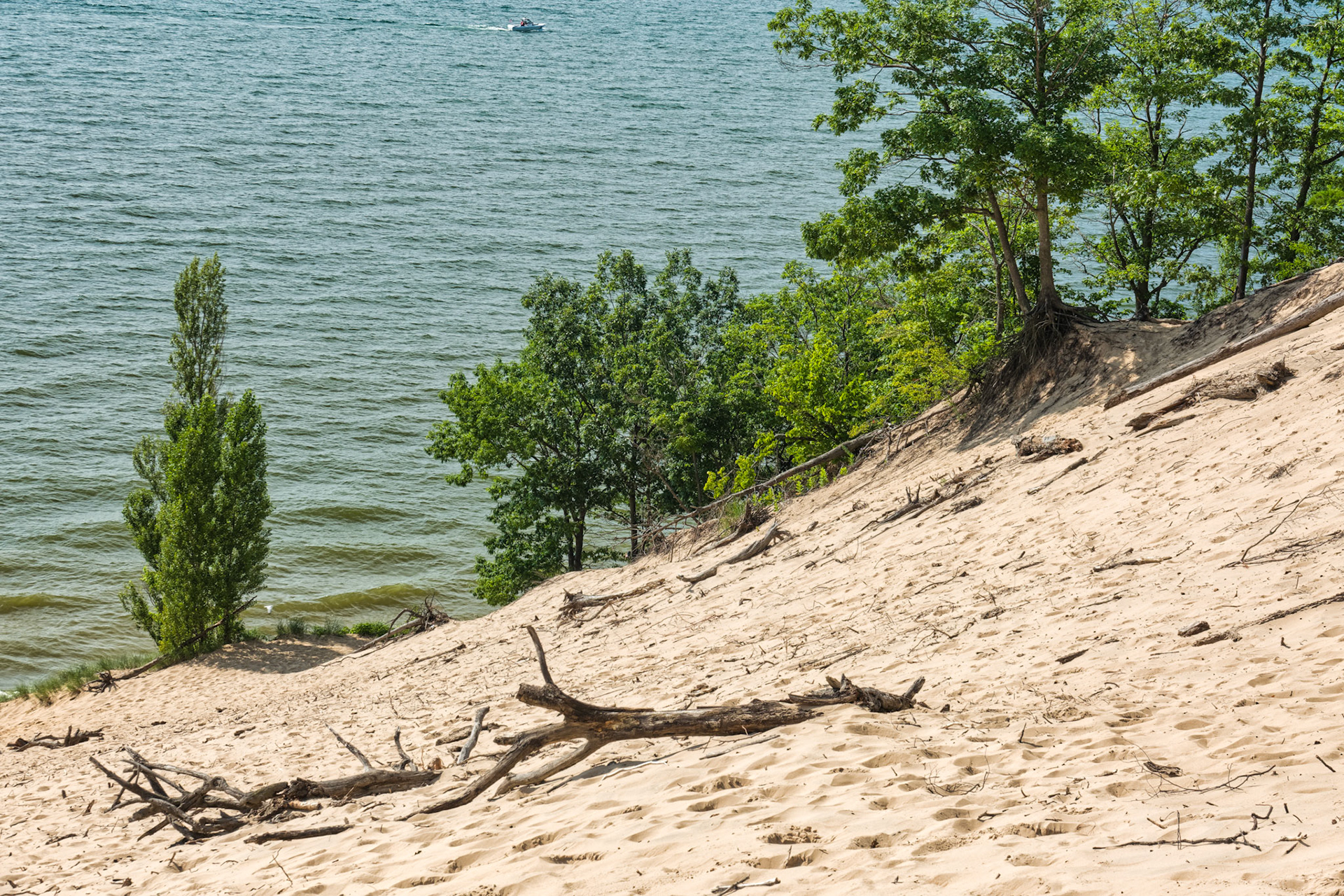 MI Dunes 00113