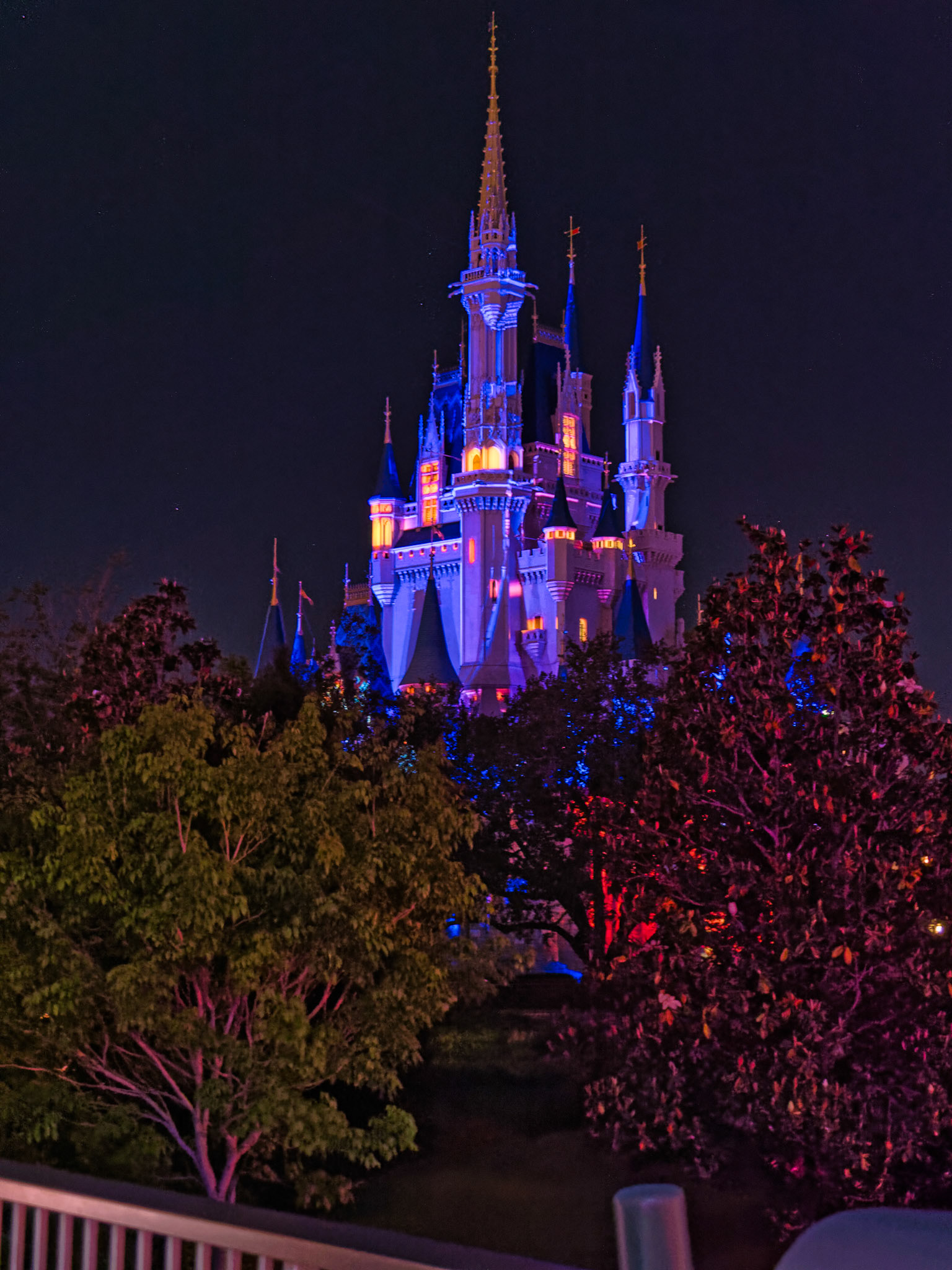 Florida Disney 00066