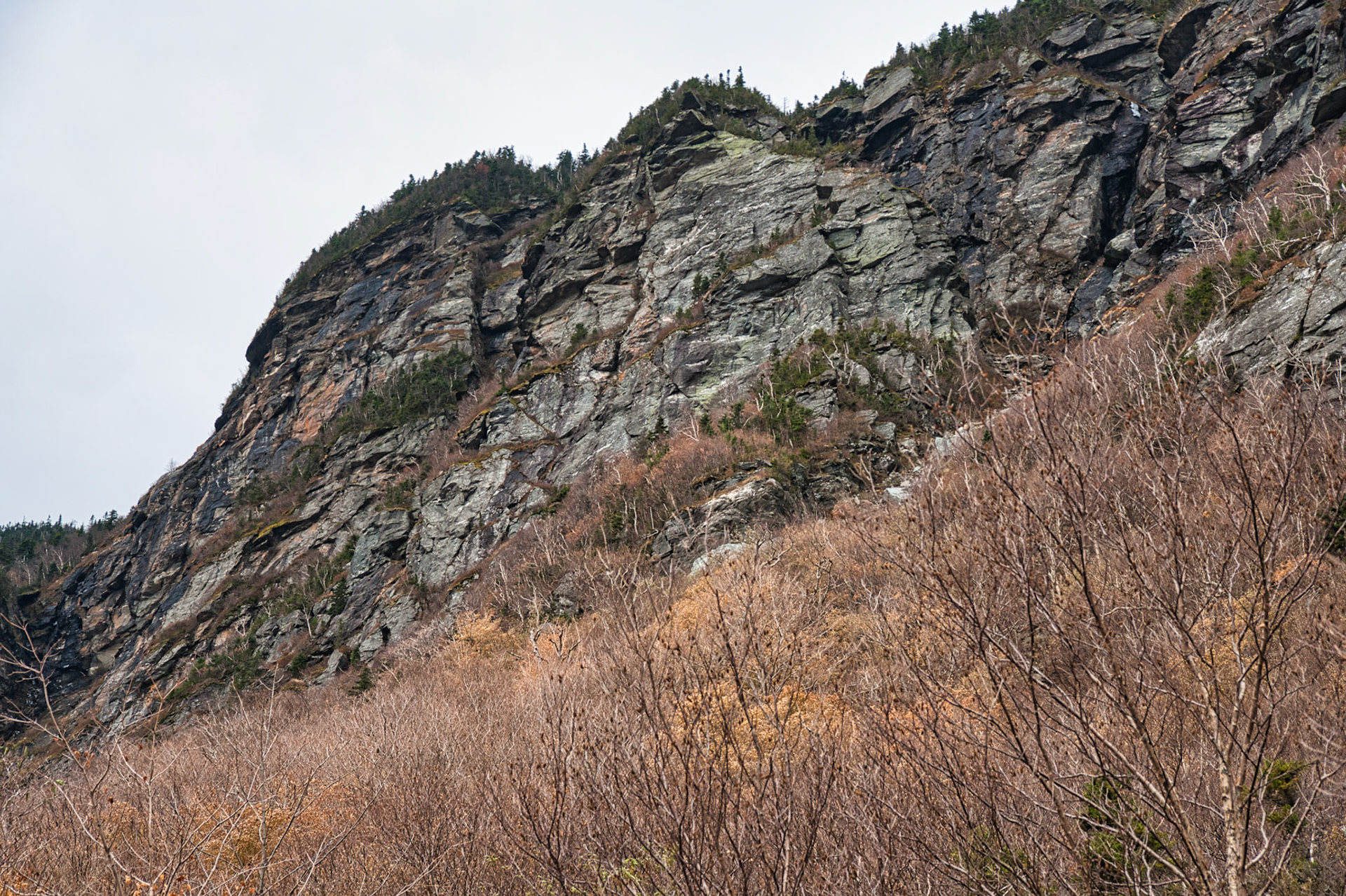 VT Miscellaneous 00030