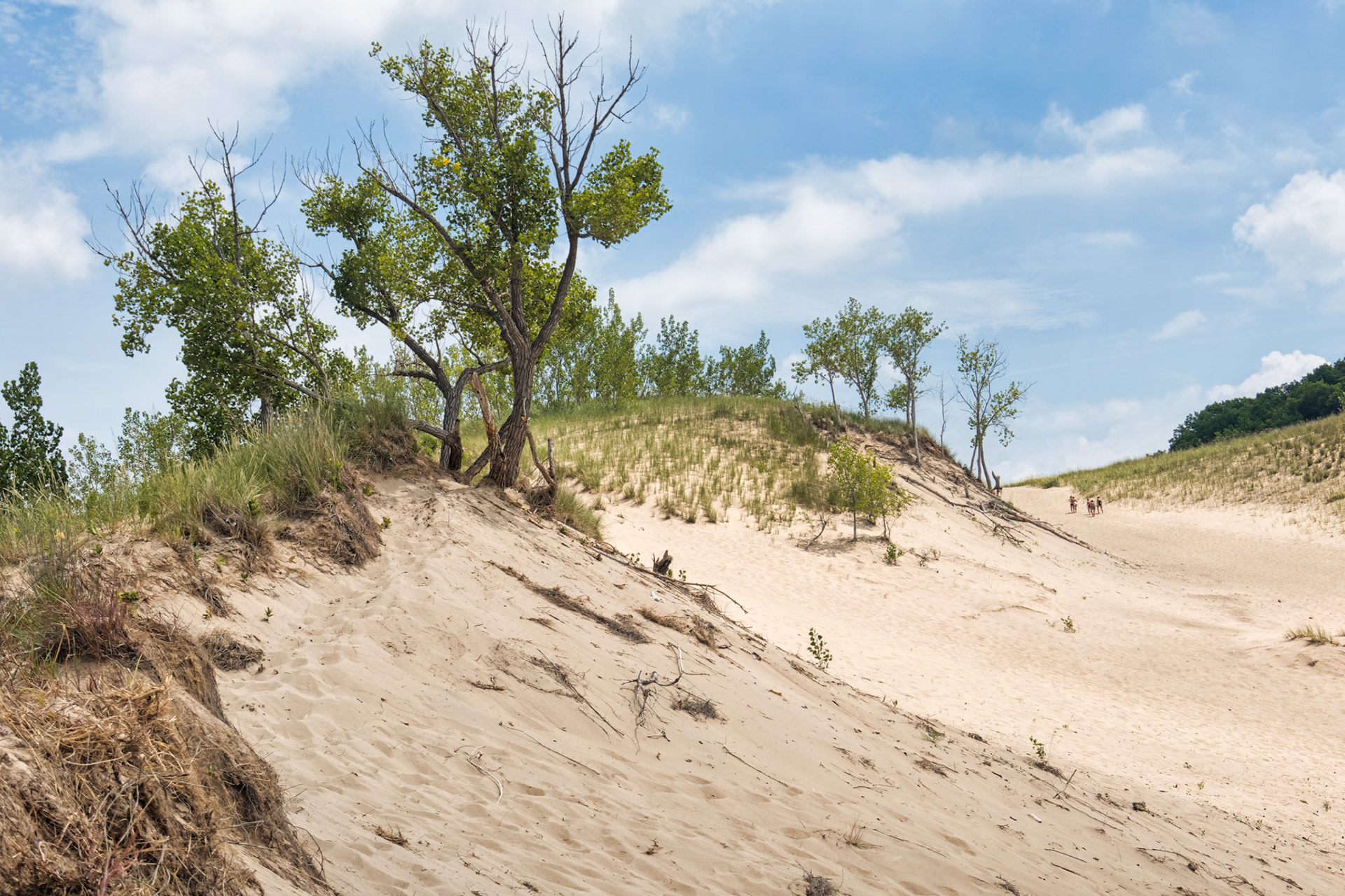 MI Dunes 00006