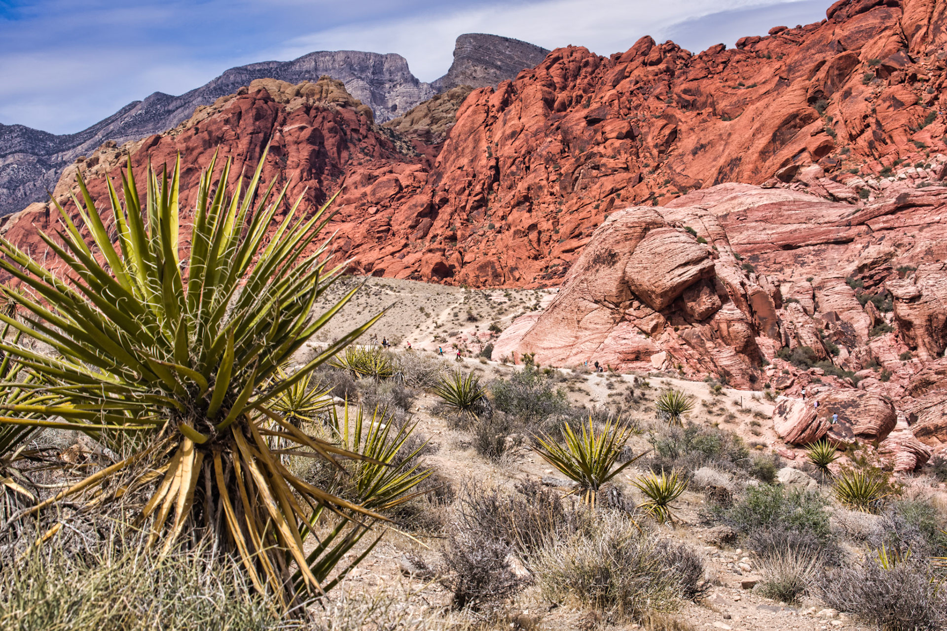 NV Desert 00197