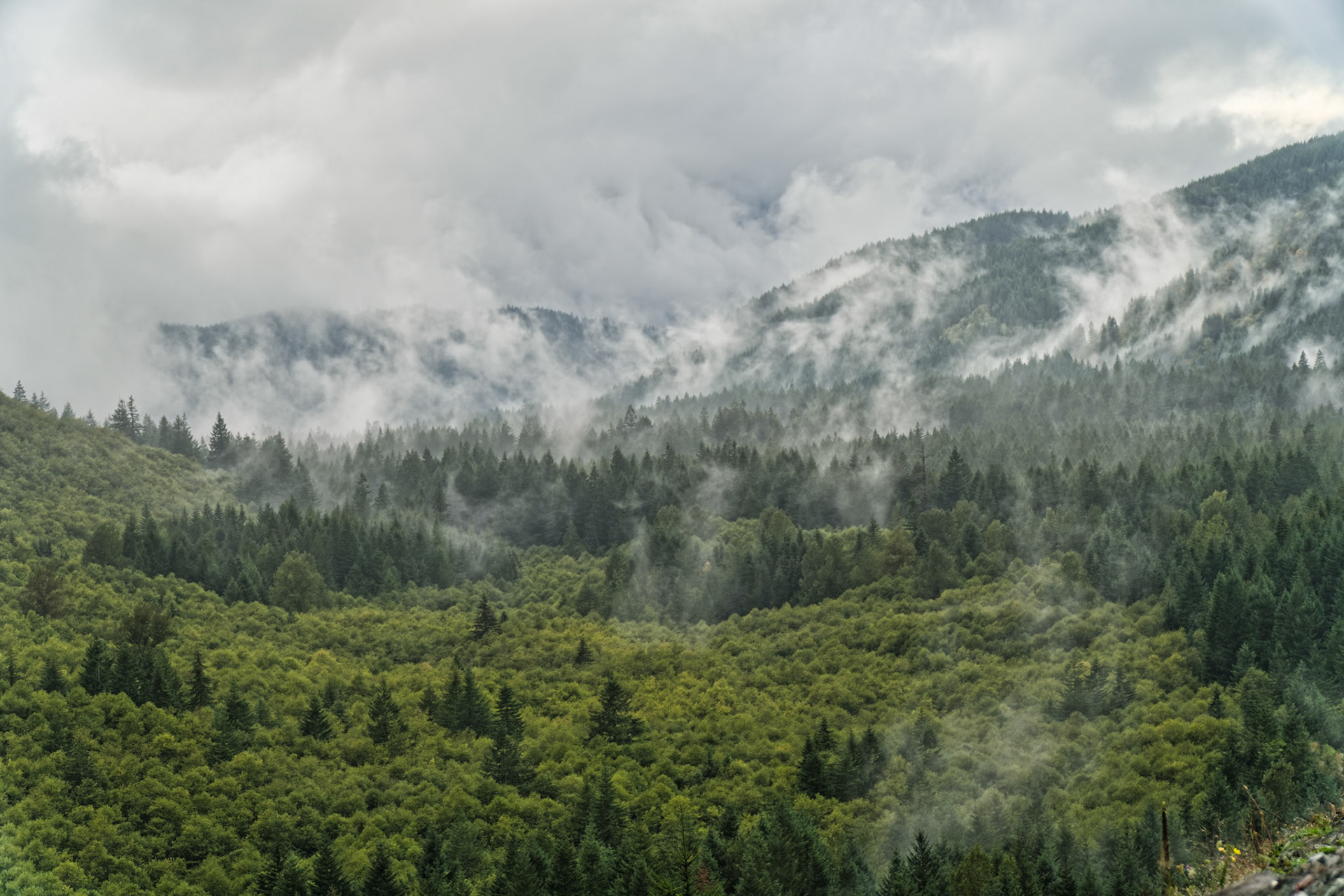 OR Mt Hood 00013
